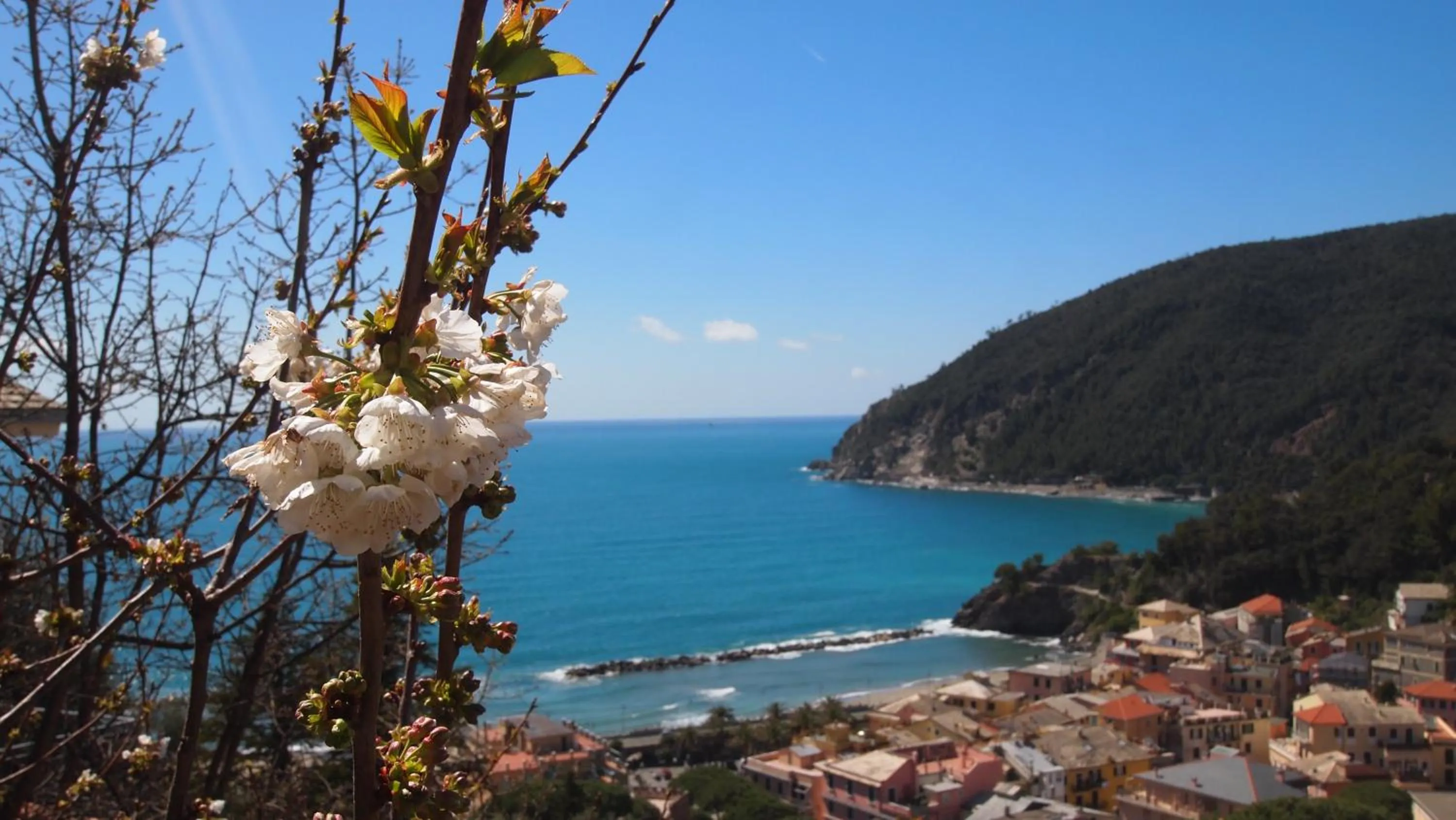 Natural landscape in Piccolo Hotel