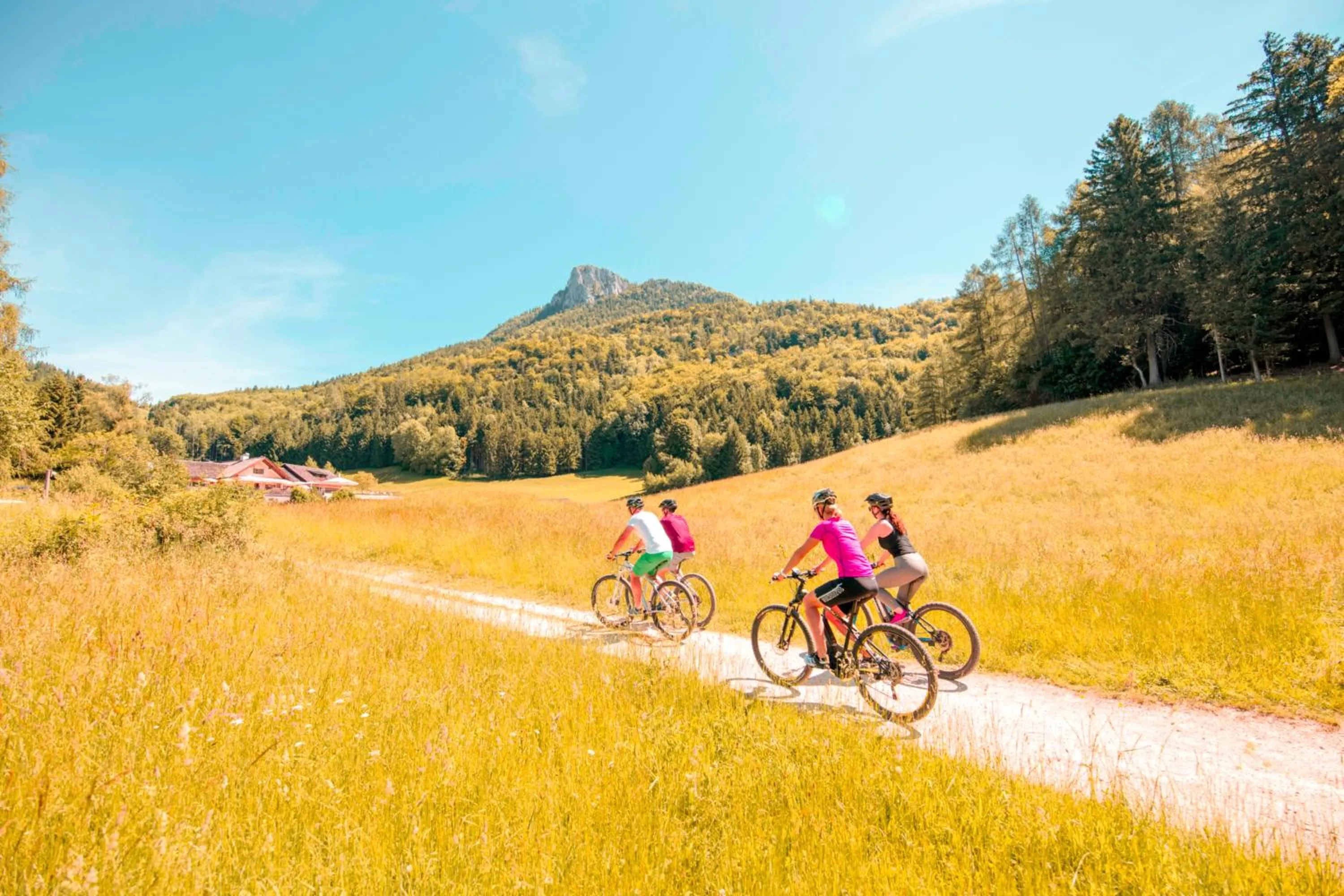 Natural landscape in Waldhof Fuschlsee Resort
