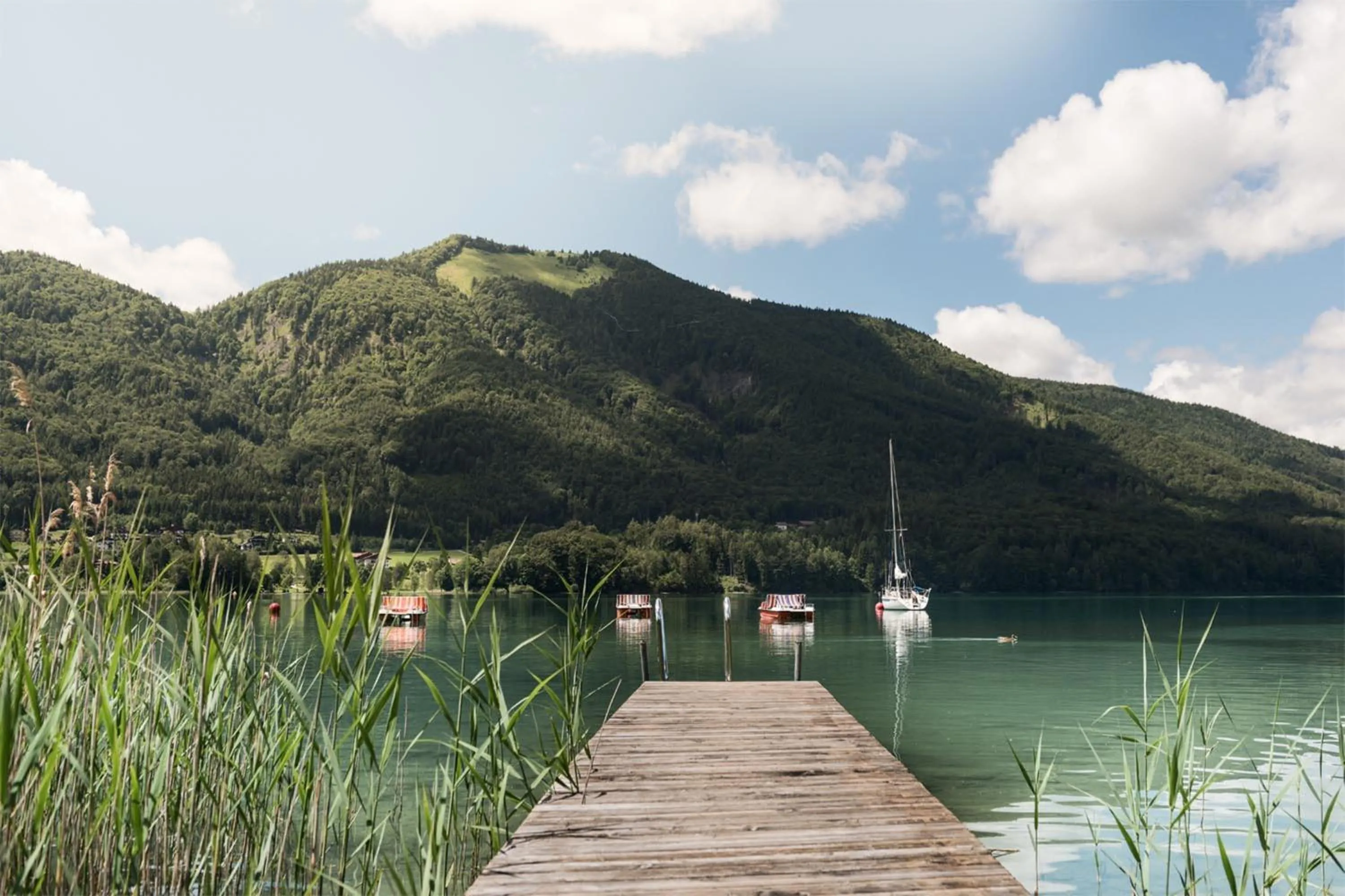 Natural landscape in Waldhof Fuschlsee Resort