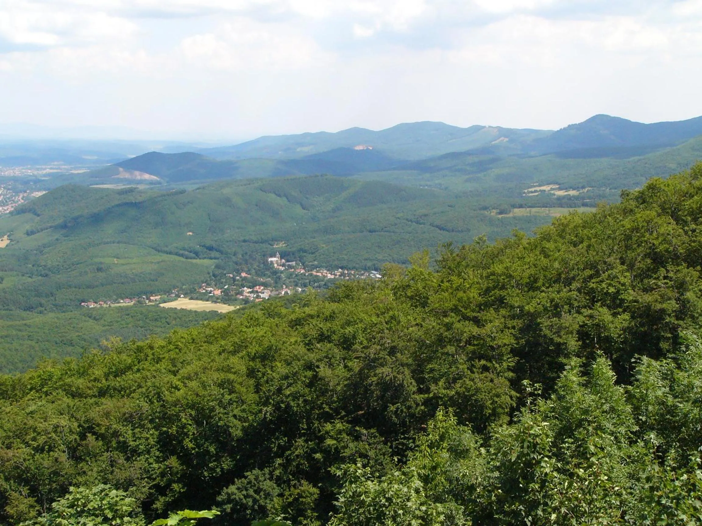 Fenyő Vendégház
