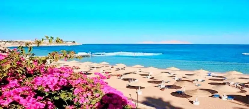 One-Bedroom Apartment at Domina Coral Bay