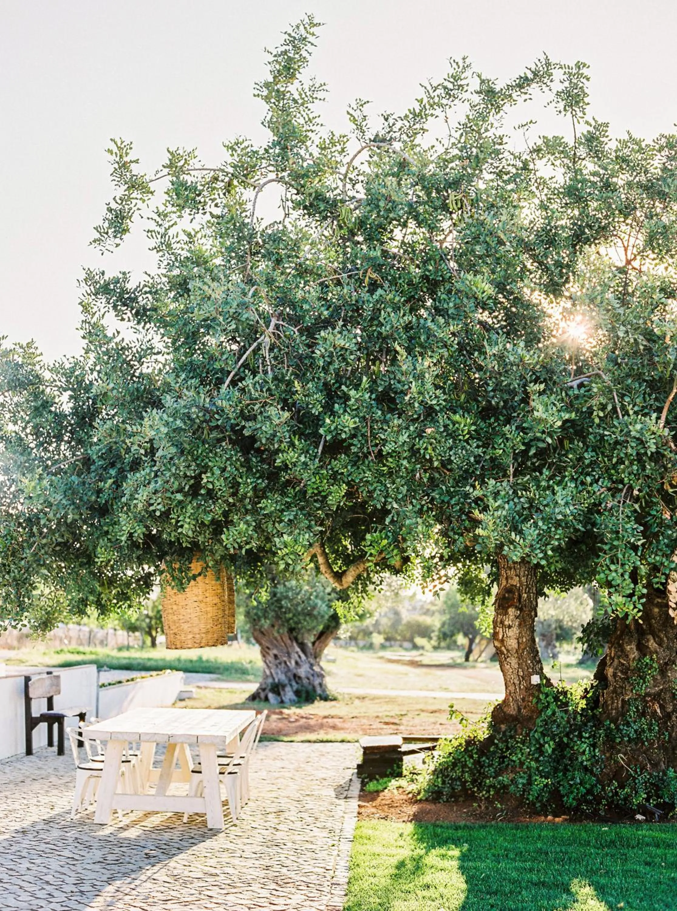 Conversas de Alpendre