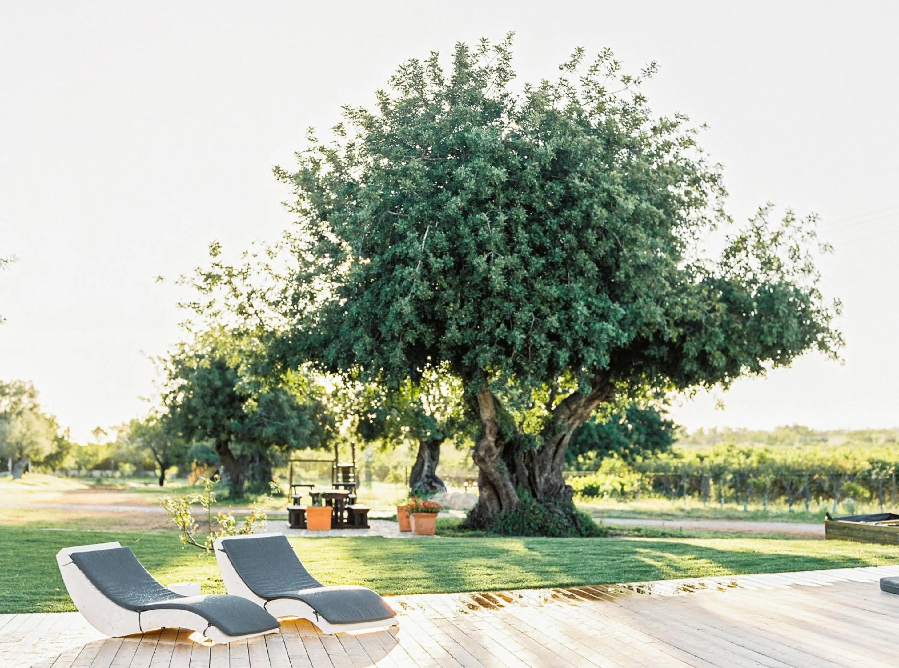 Garden in Conversas de Alpendre