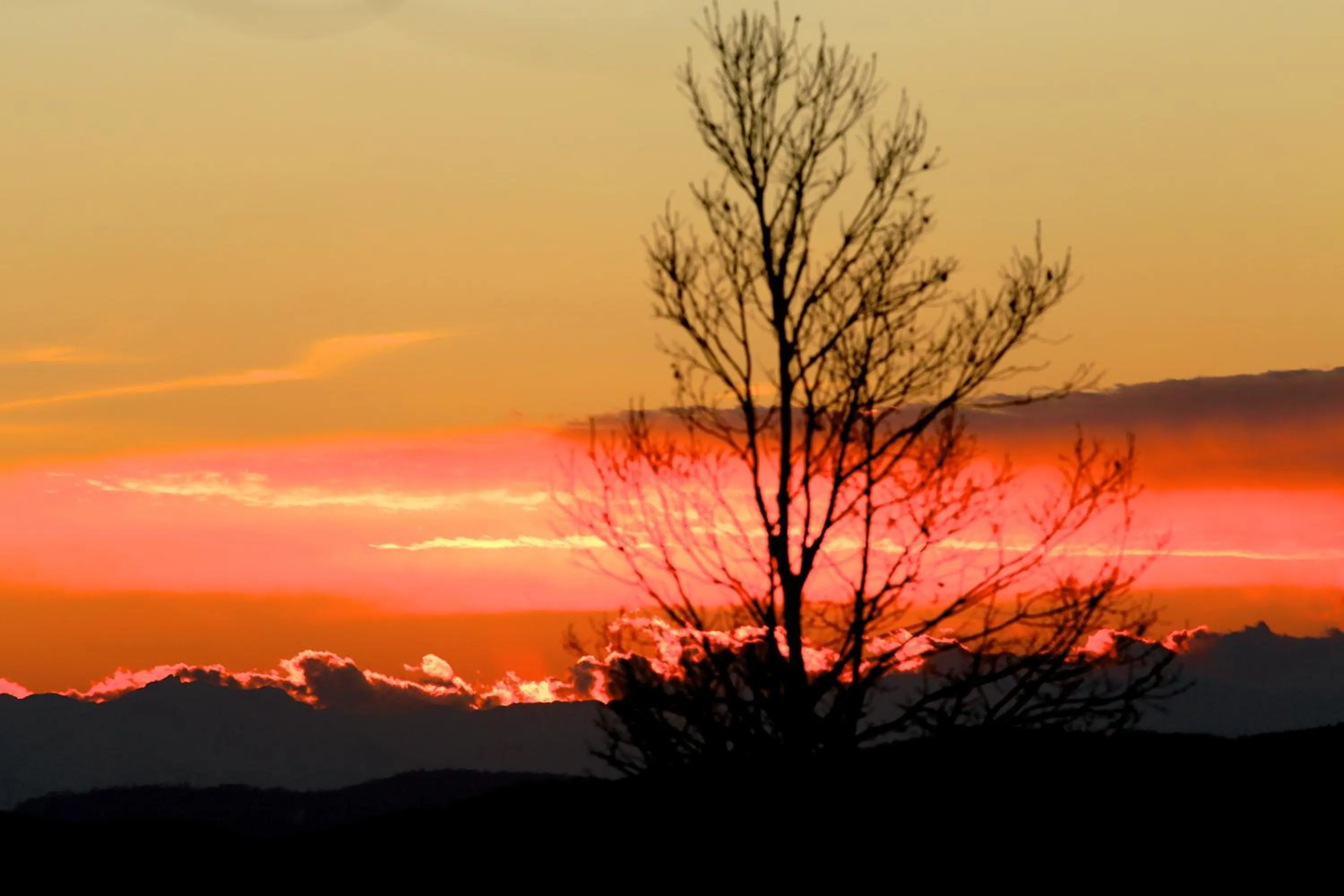 Natural landscape in Hotel Pian del Sole