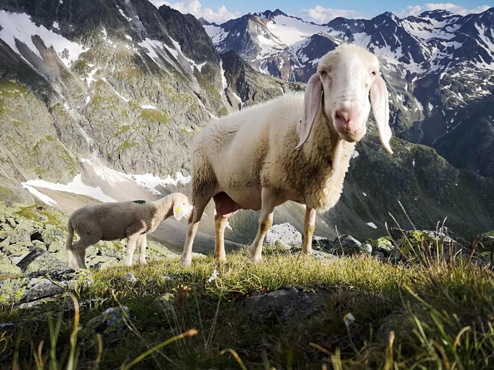 Nearby landmark in Alphotel Ettal