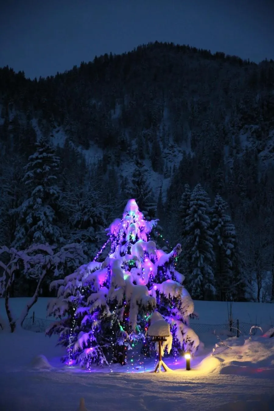 Winter in Alphotel Ettal