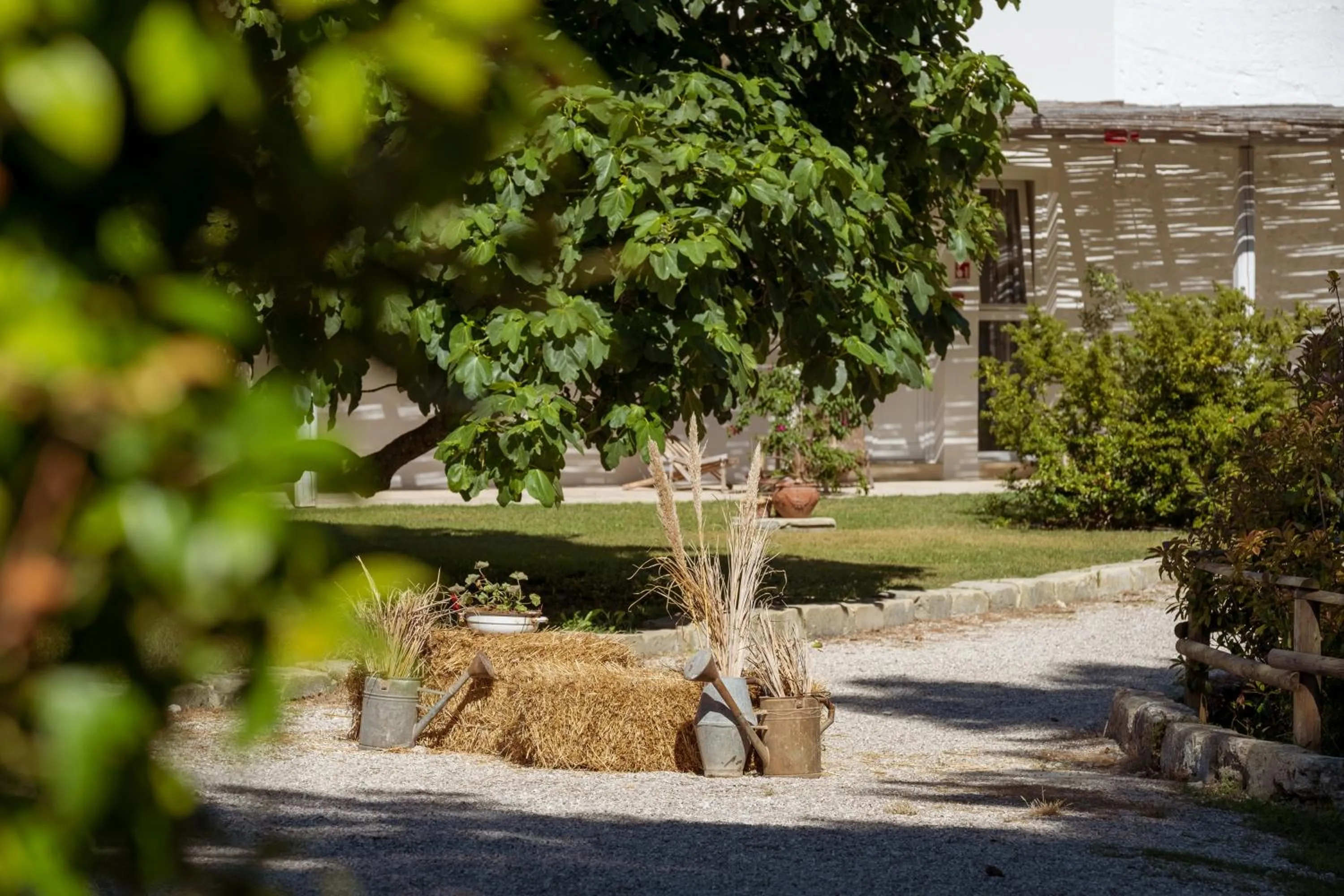 Decorative detail in Masseria Rauccio