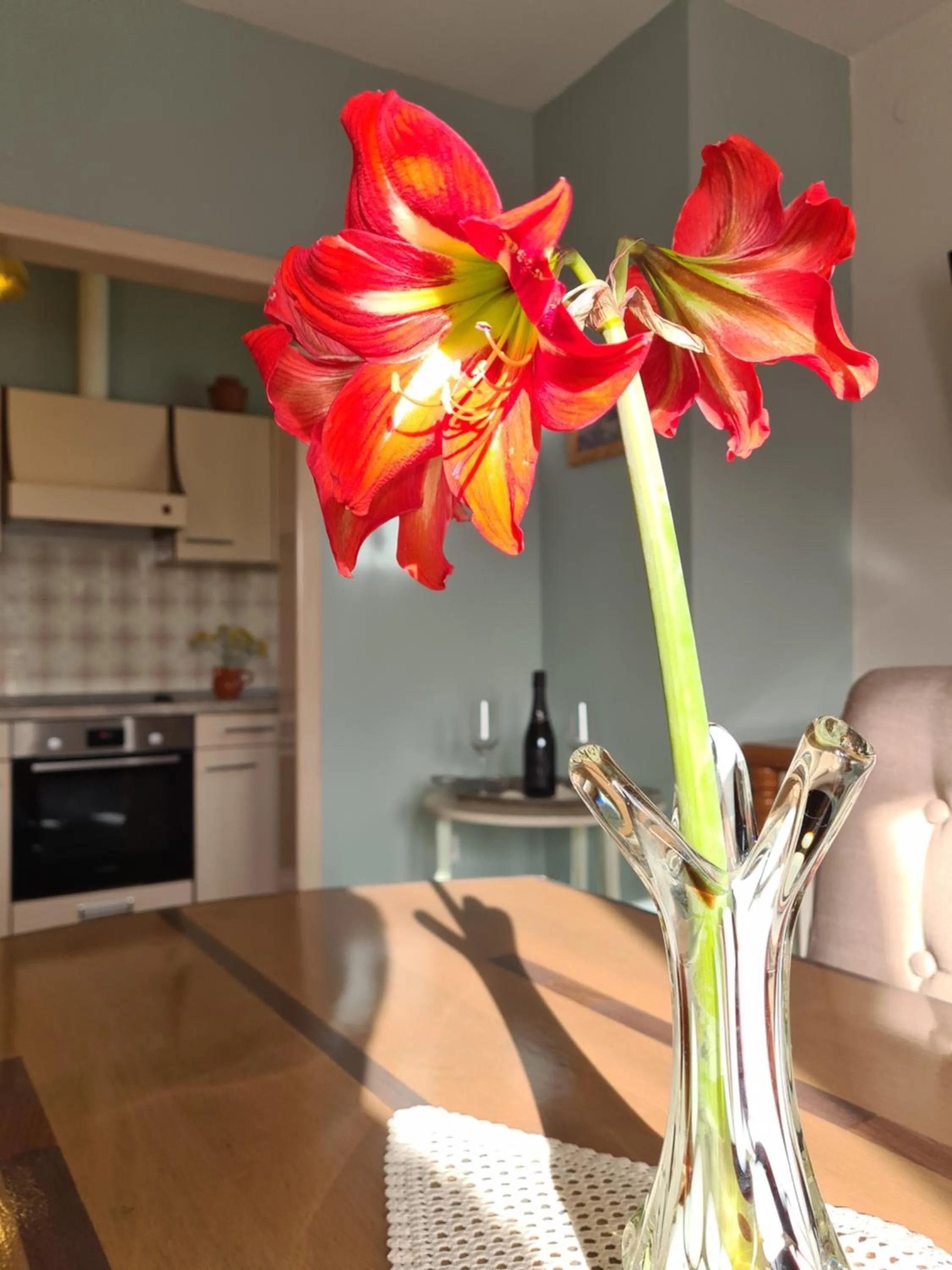 Kitchen or kitchenette in Apartments Brešan