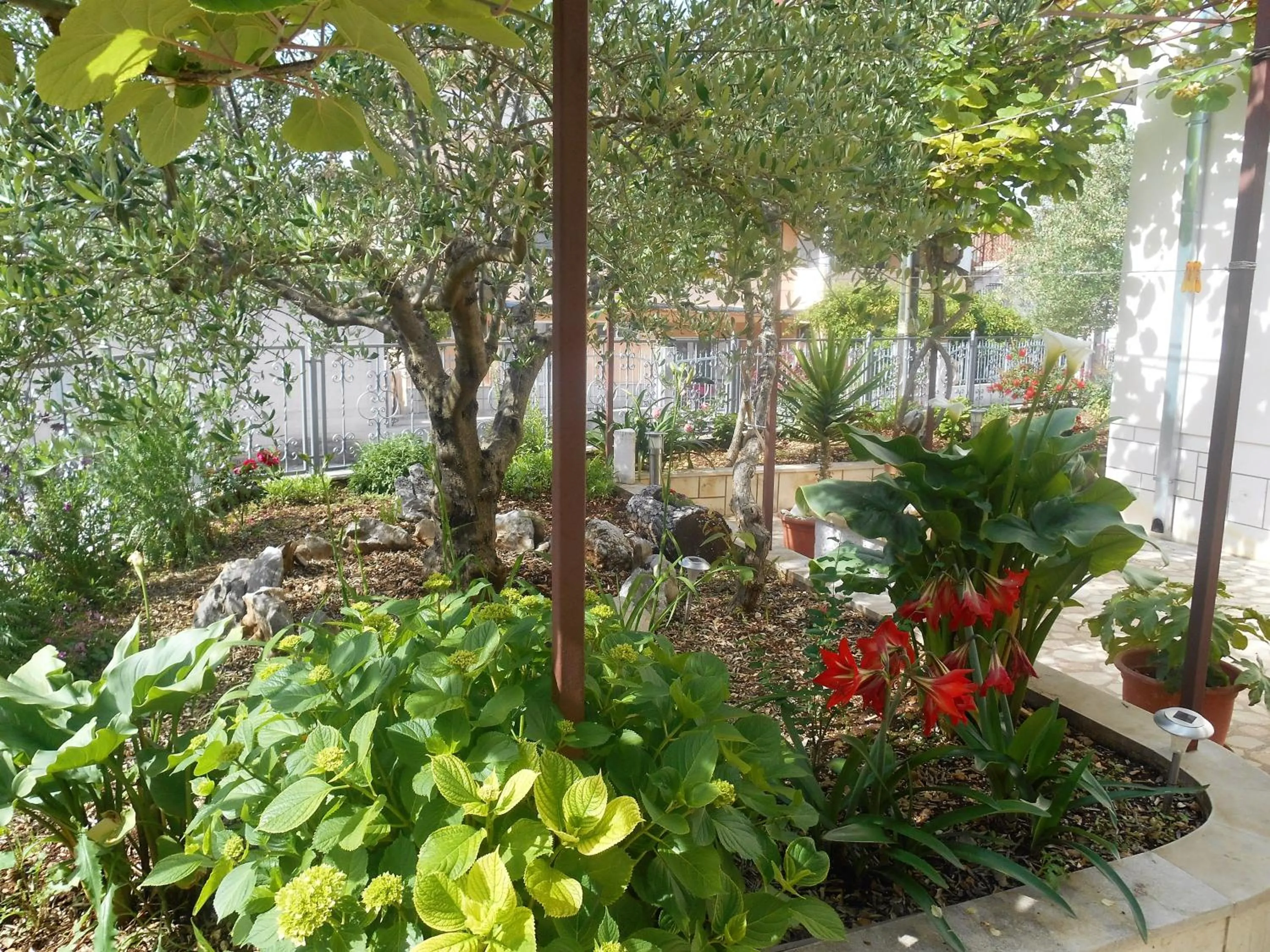 Garden in Apartments Brešan
