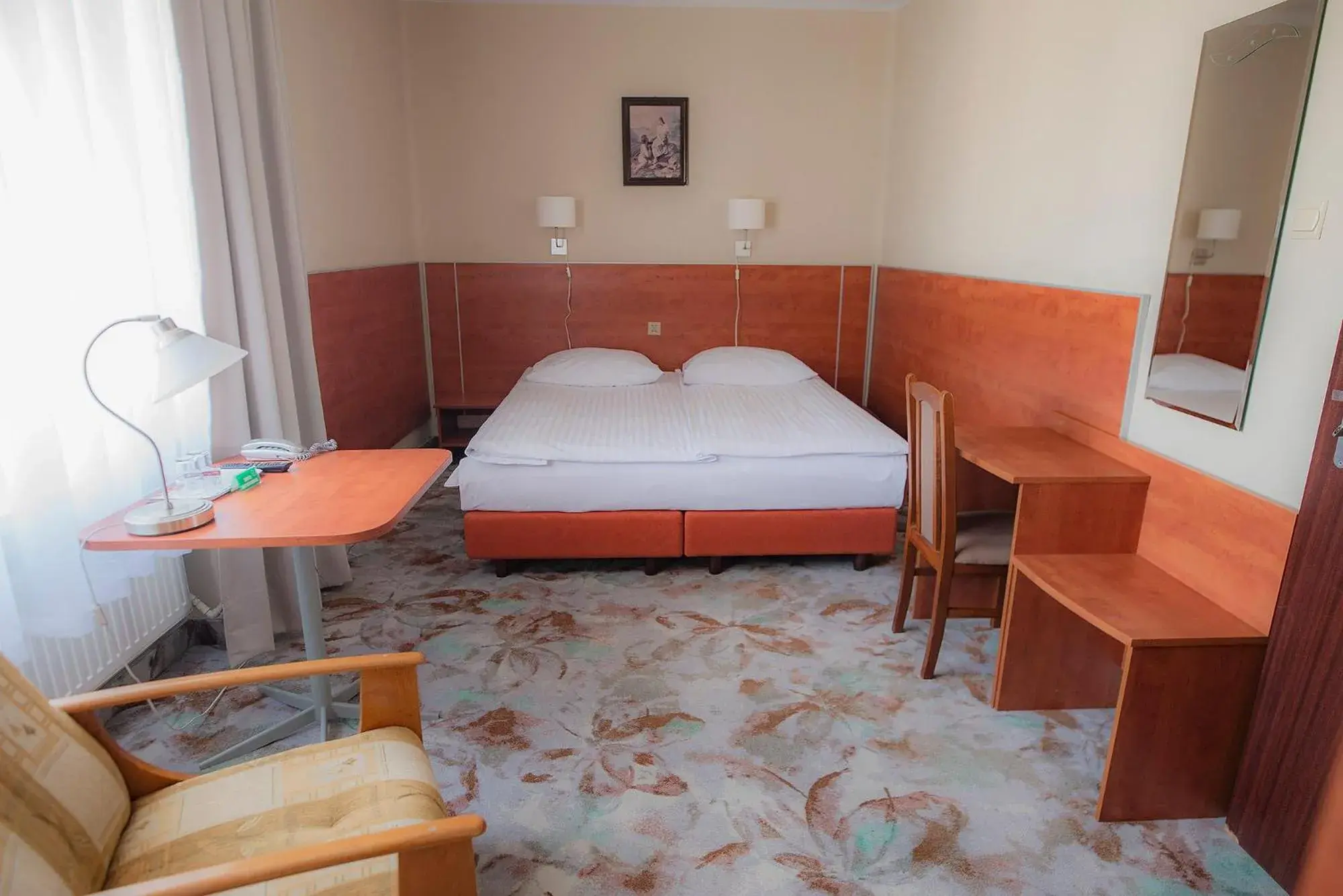 Double Room in Hotel Włókniarz Double Room in Hotel Włókniarz