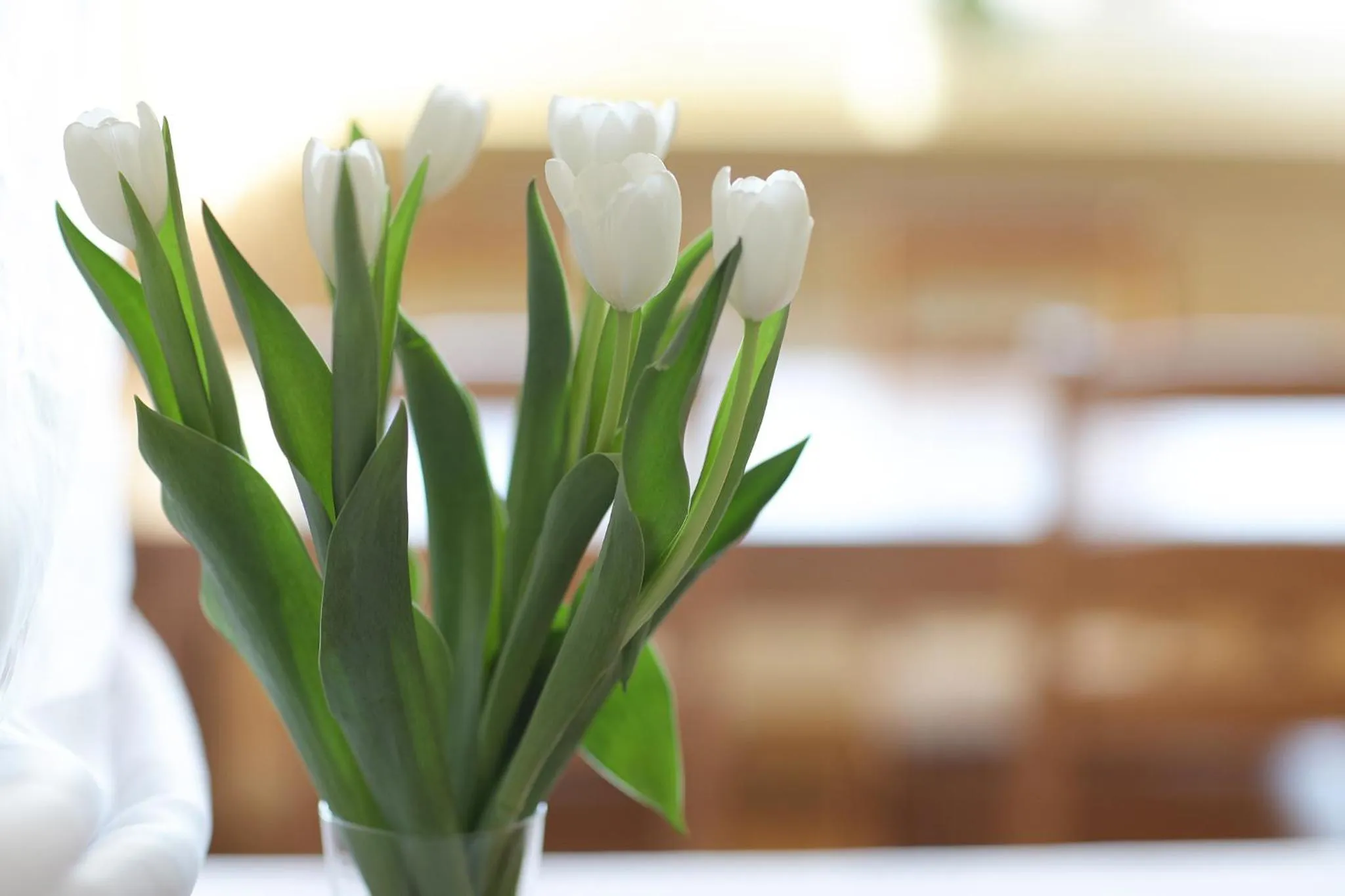 Decorative detail, Bed in Hotel Włókniarz