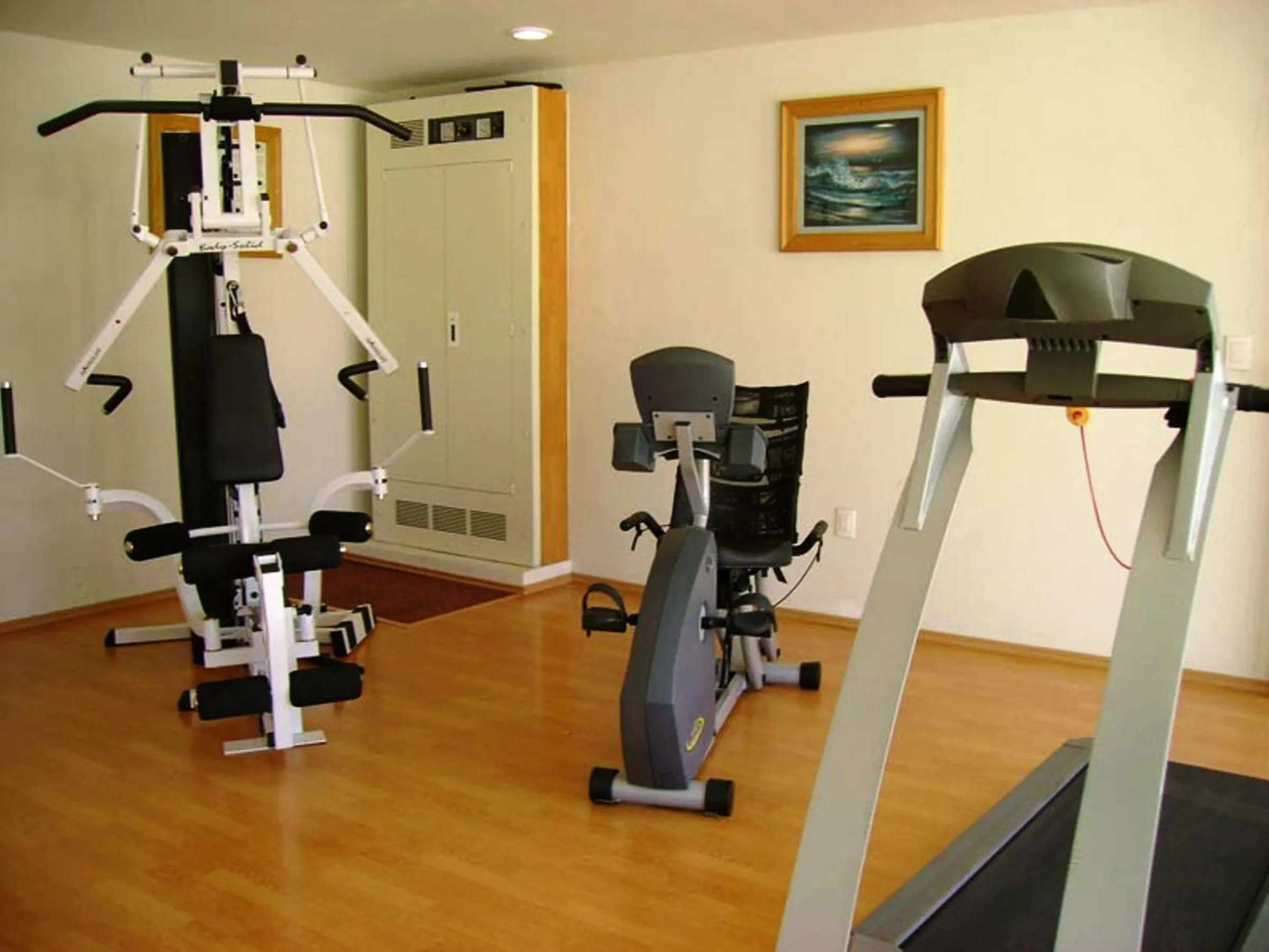 Fitness centre/facilities in Hotel San Juan Park