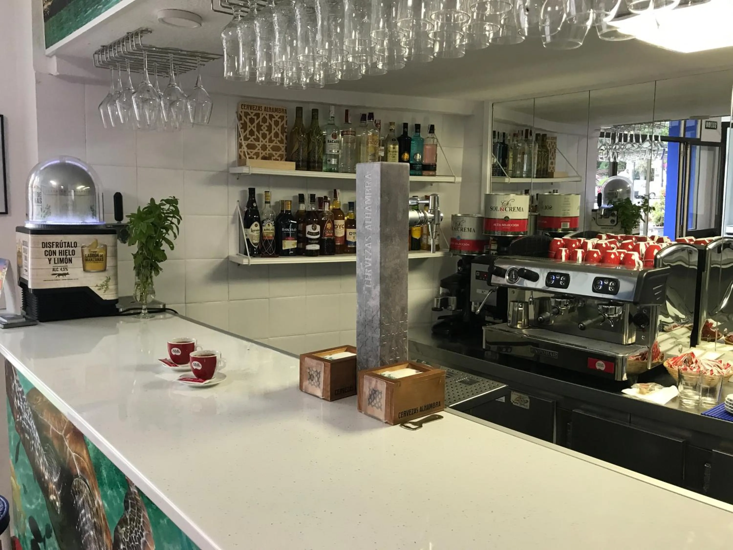 Restaurant/places to eat in Hotel Playa San Cristóbal