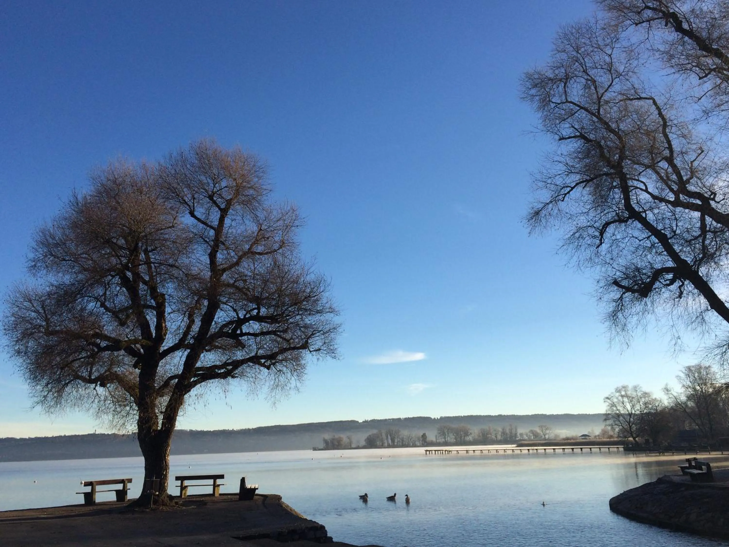 Area and facilities in Hotel zum See