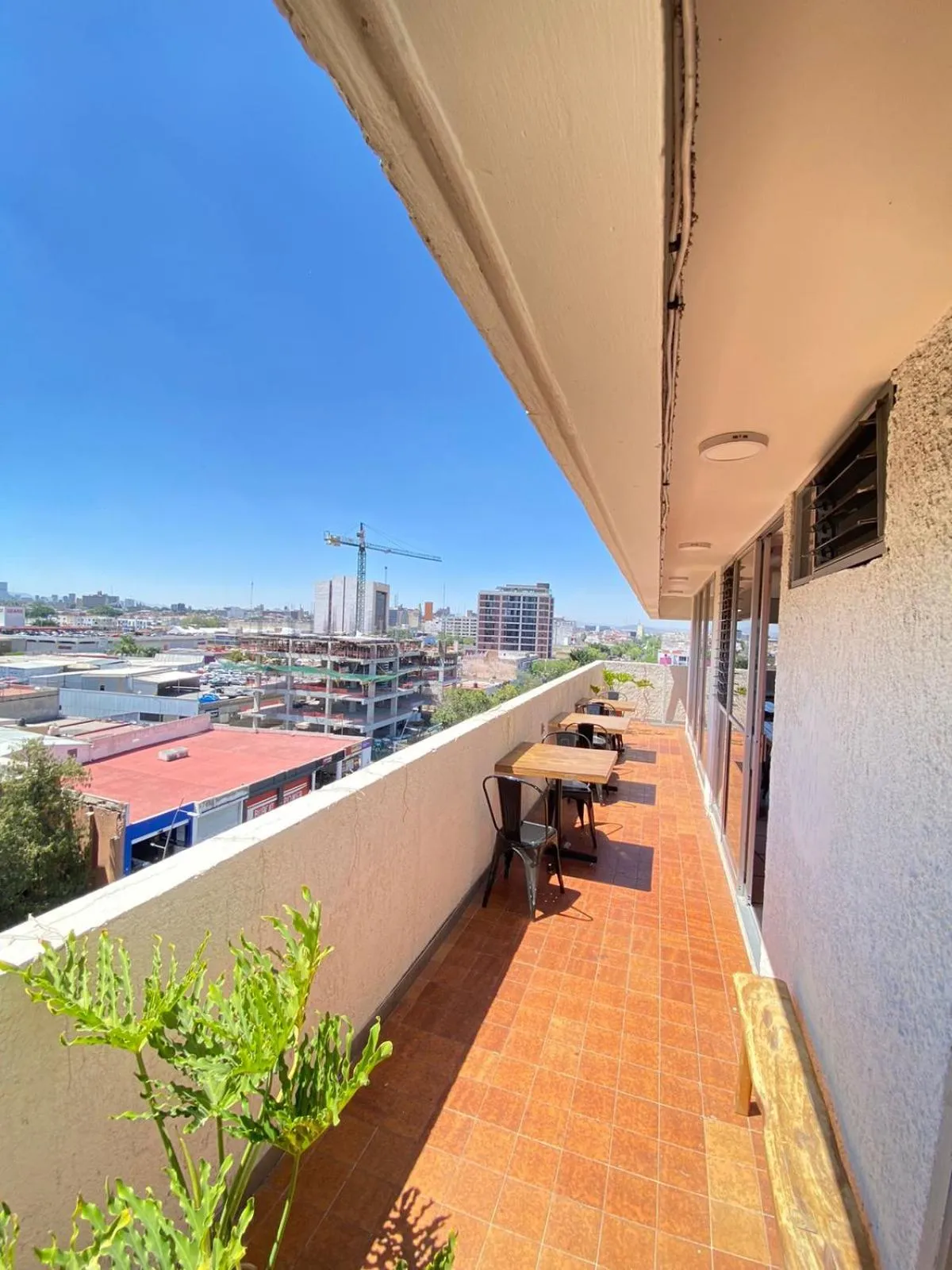 Restaurant/places to eat in Hotel Flamingos