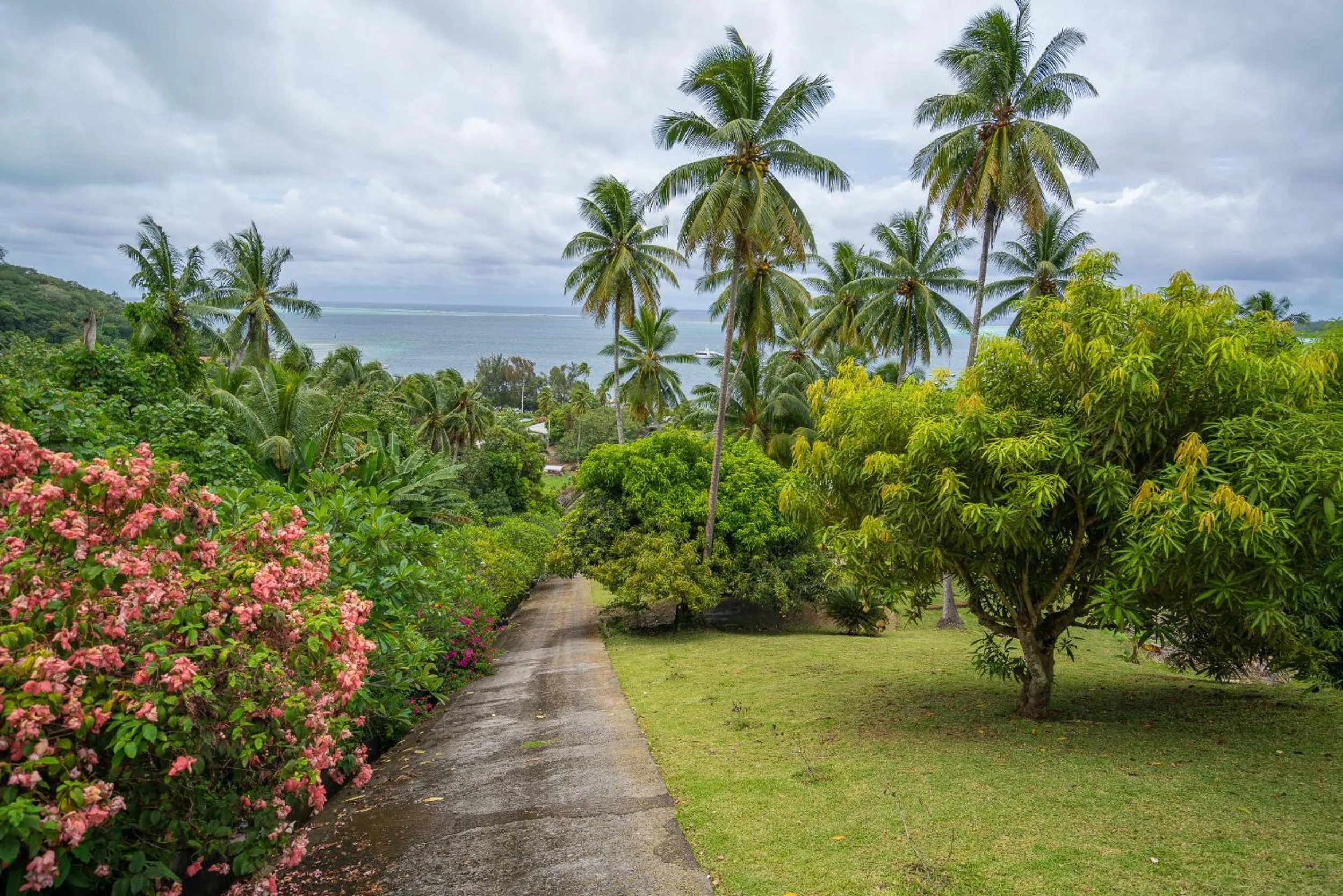 Garden in BORA BORA HOLIDAY'S LODGE