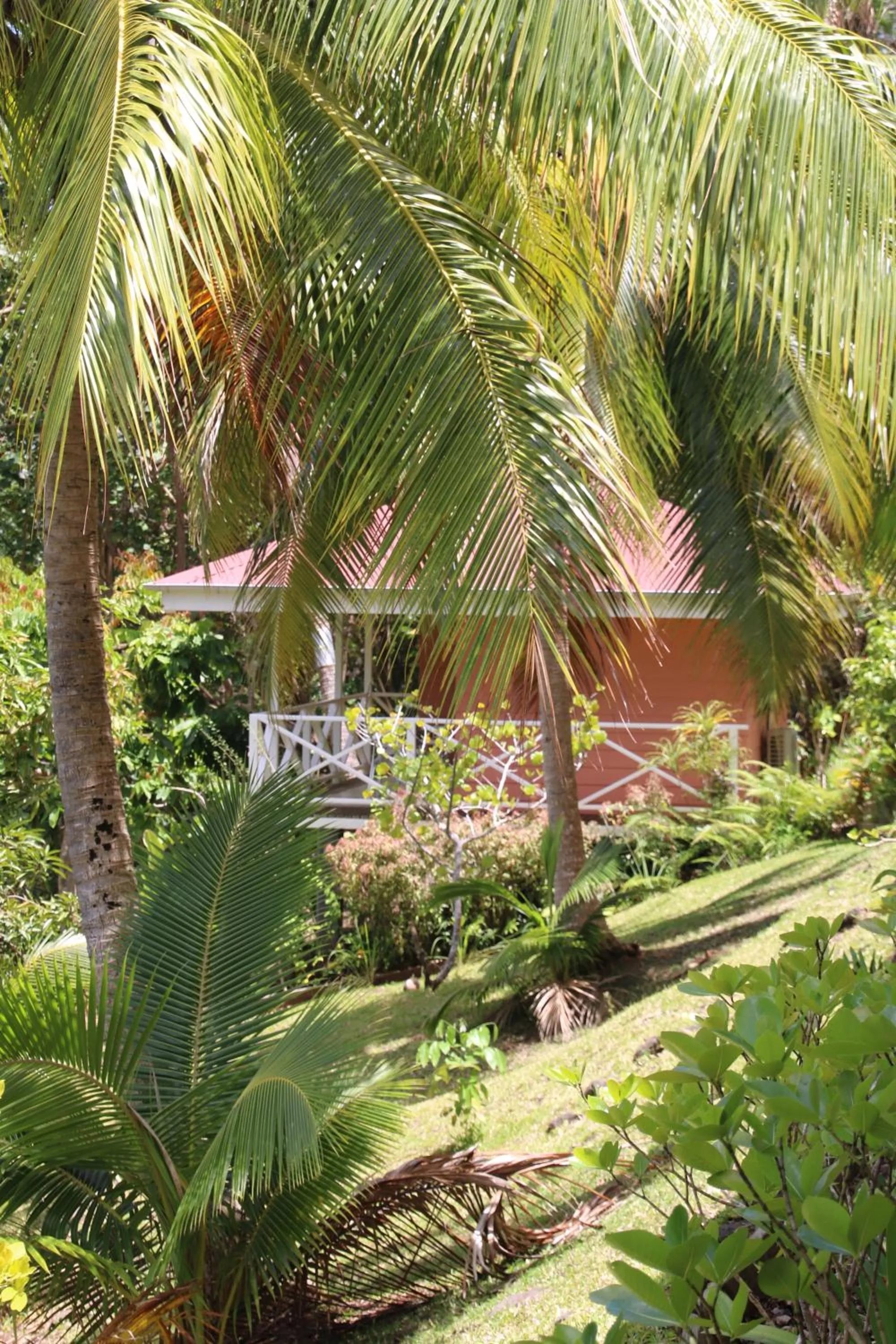 Garden view in BORA BORA HOLIDAY'S LODGE