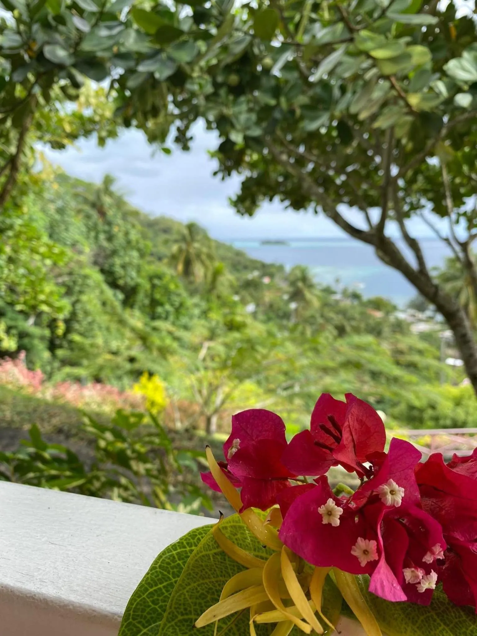 Natural landscape in BORA BORA HOLIDAY'S LODGE