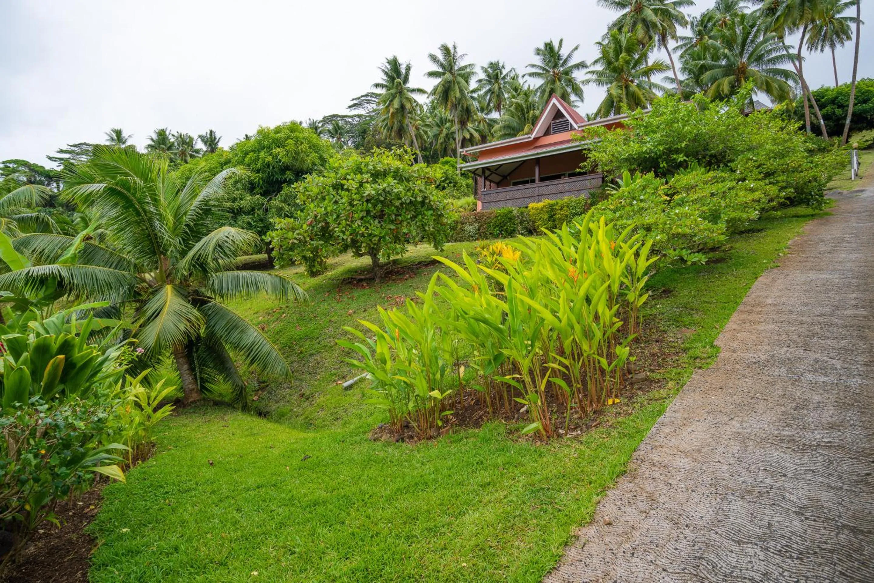 Garden in BORA BORA HOLIDAY'S LODGE