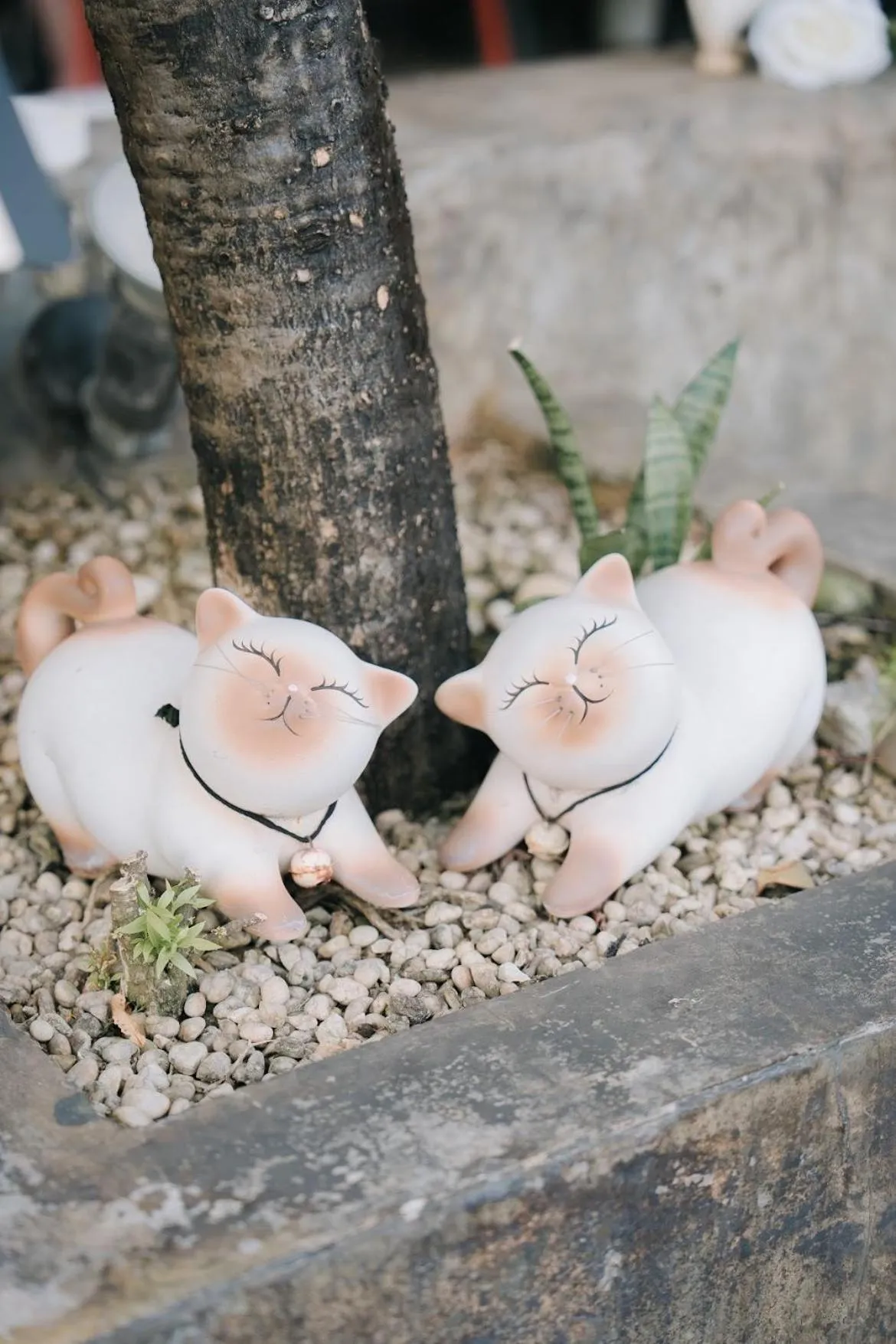 Garden in Le Canal Boutique House