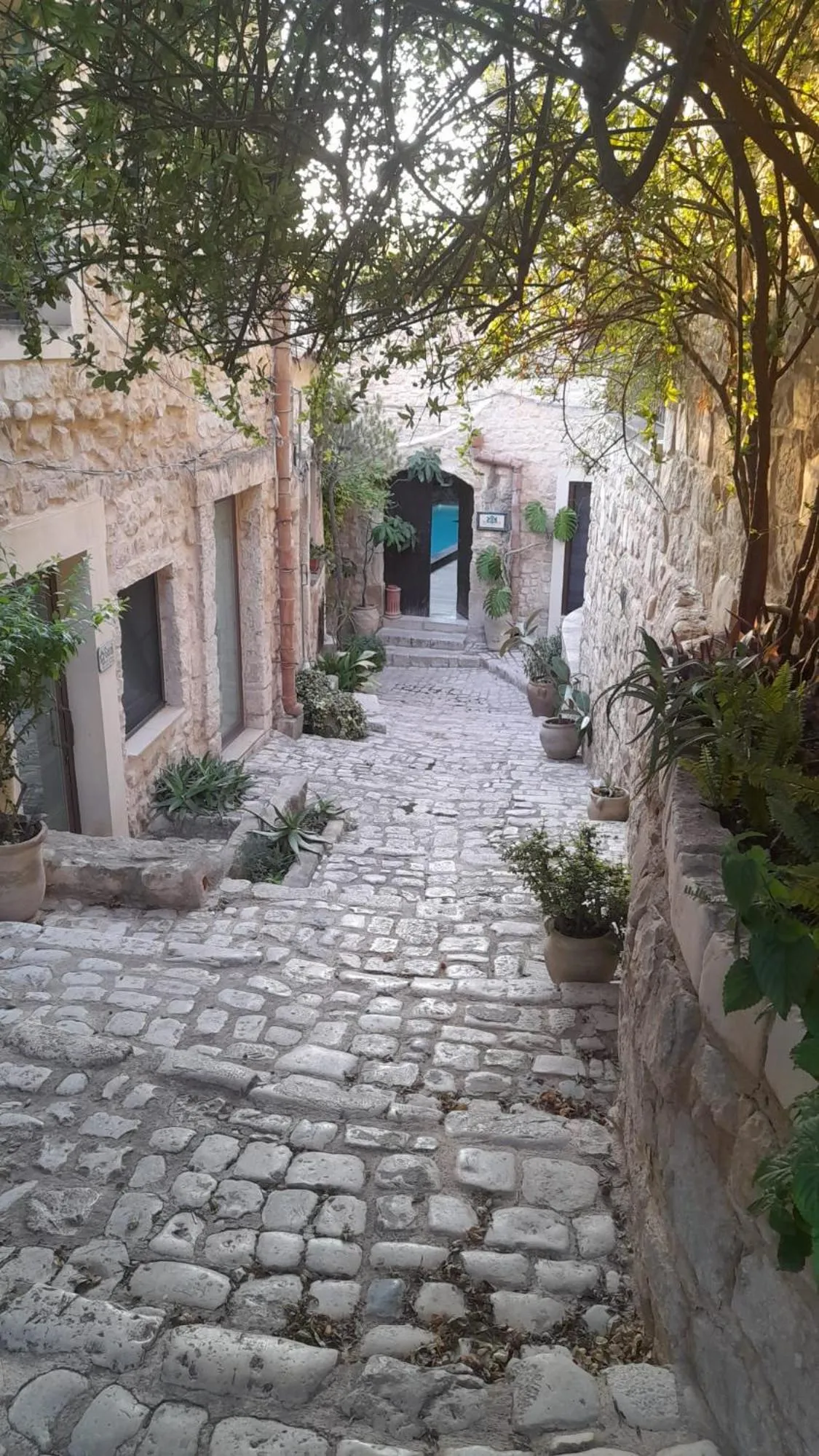 View (from property/room) in Borgo Hedone