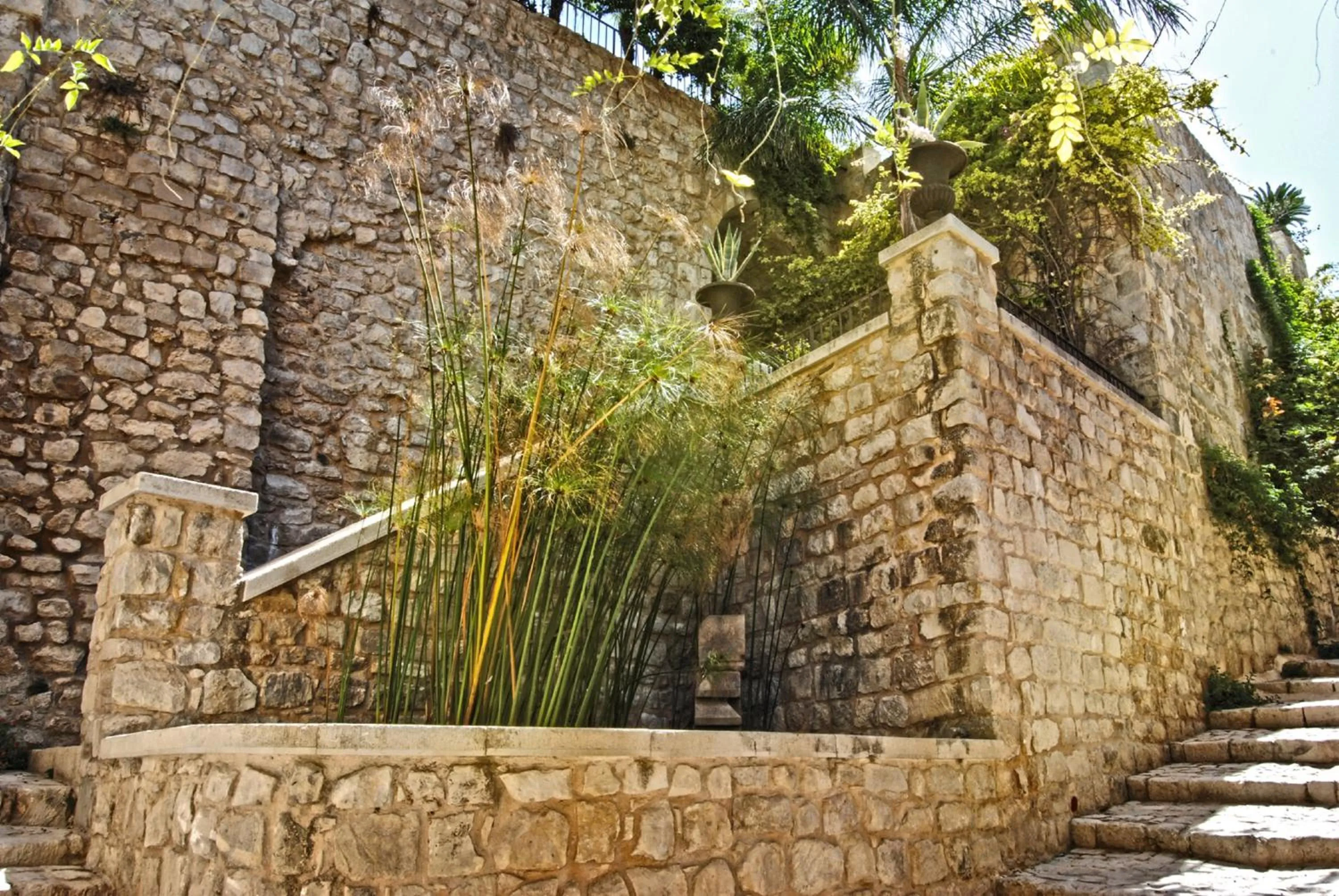 Garden in Borgo Hedone