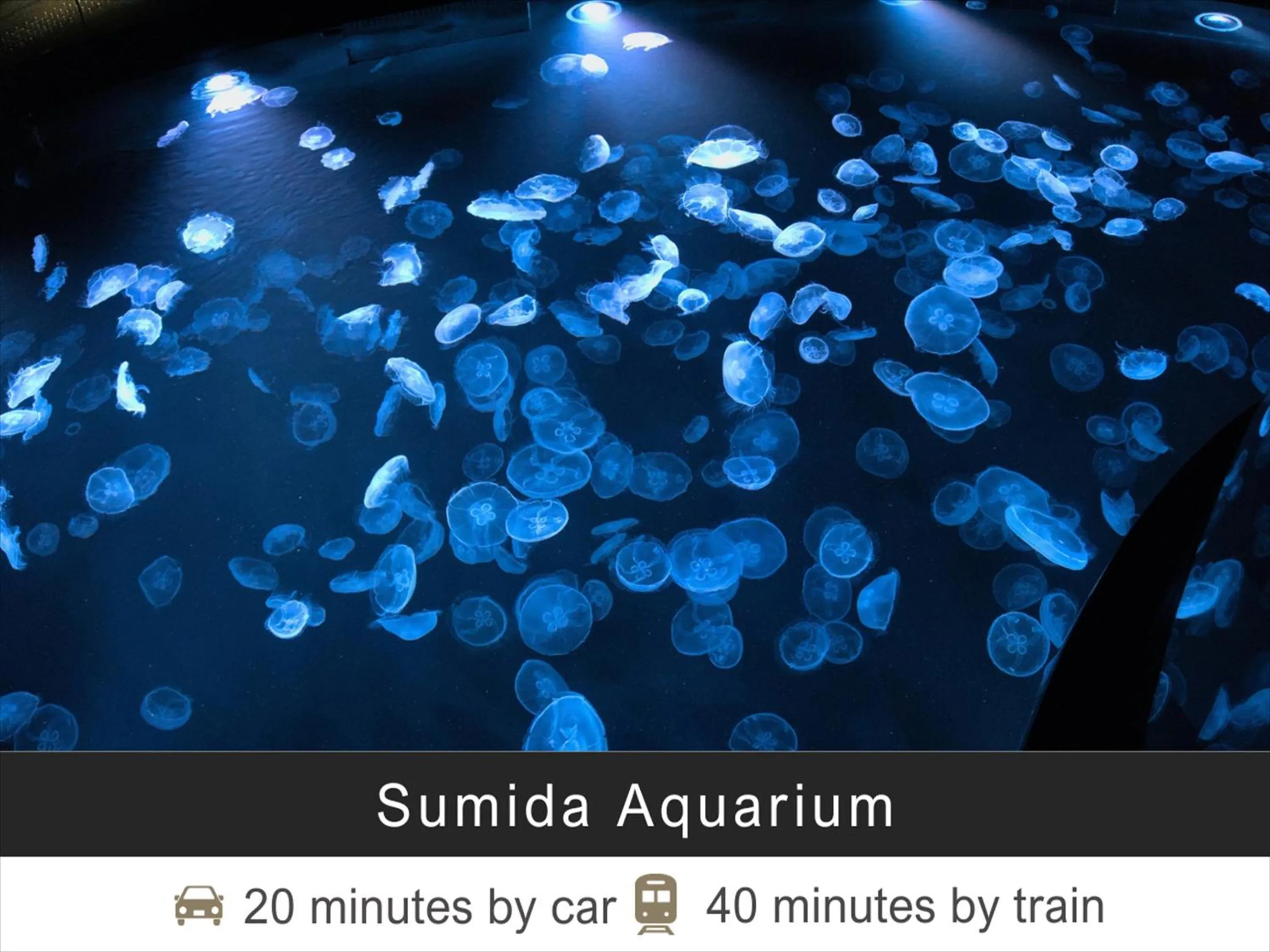 Nearby landmark in Tokyu Stay Monzen-Nakacho Tokyo