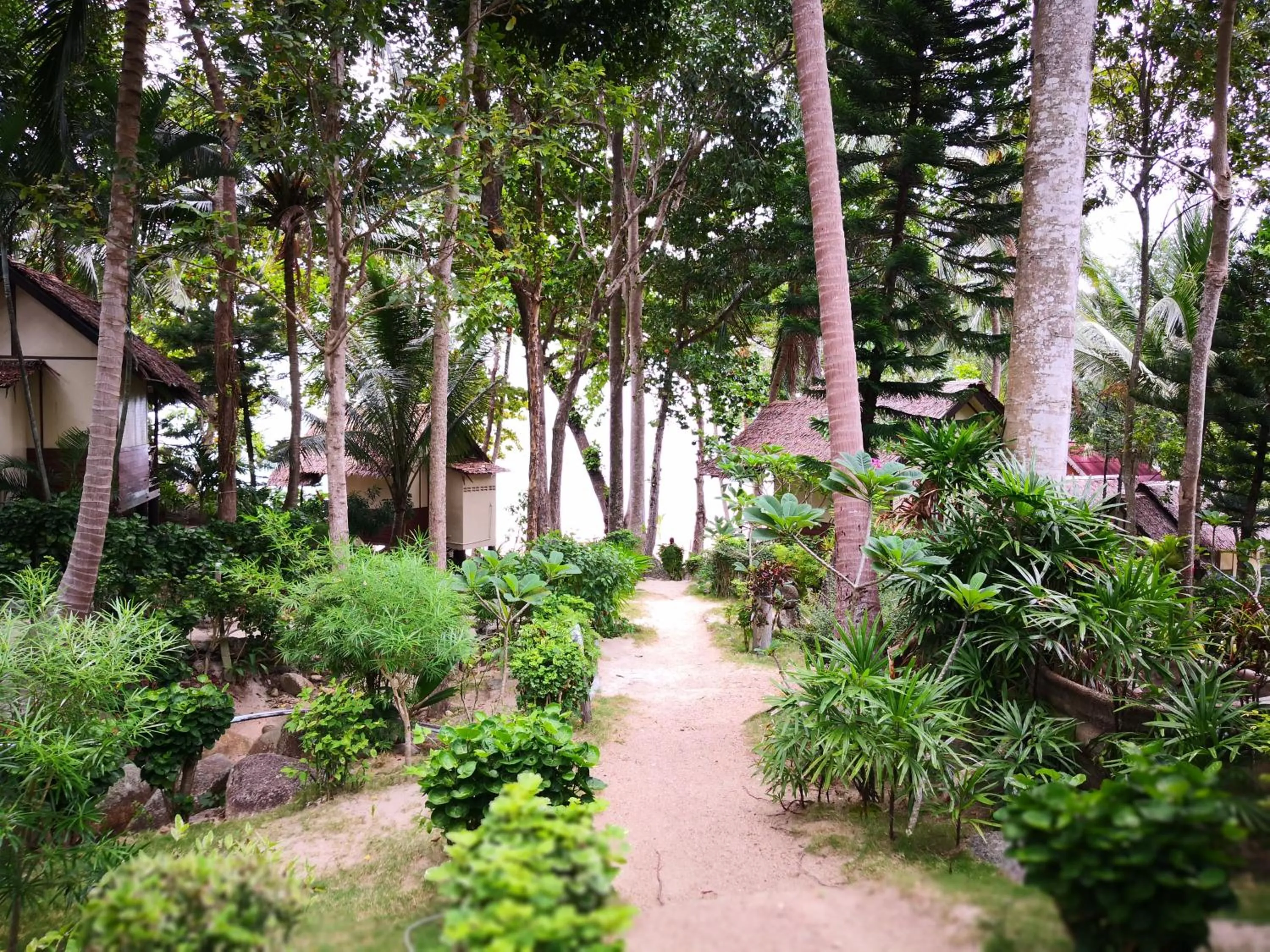Garden in Smile Bungalow Bottle Beach