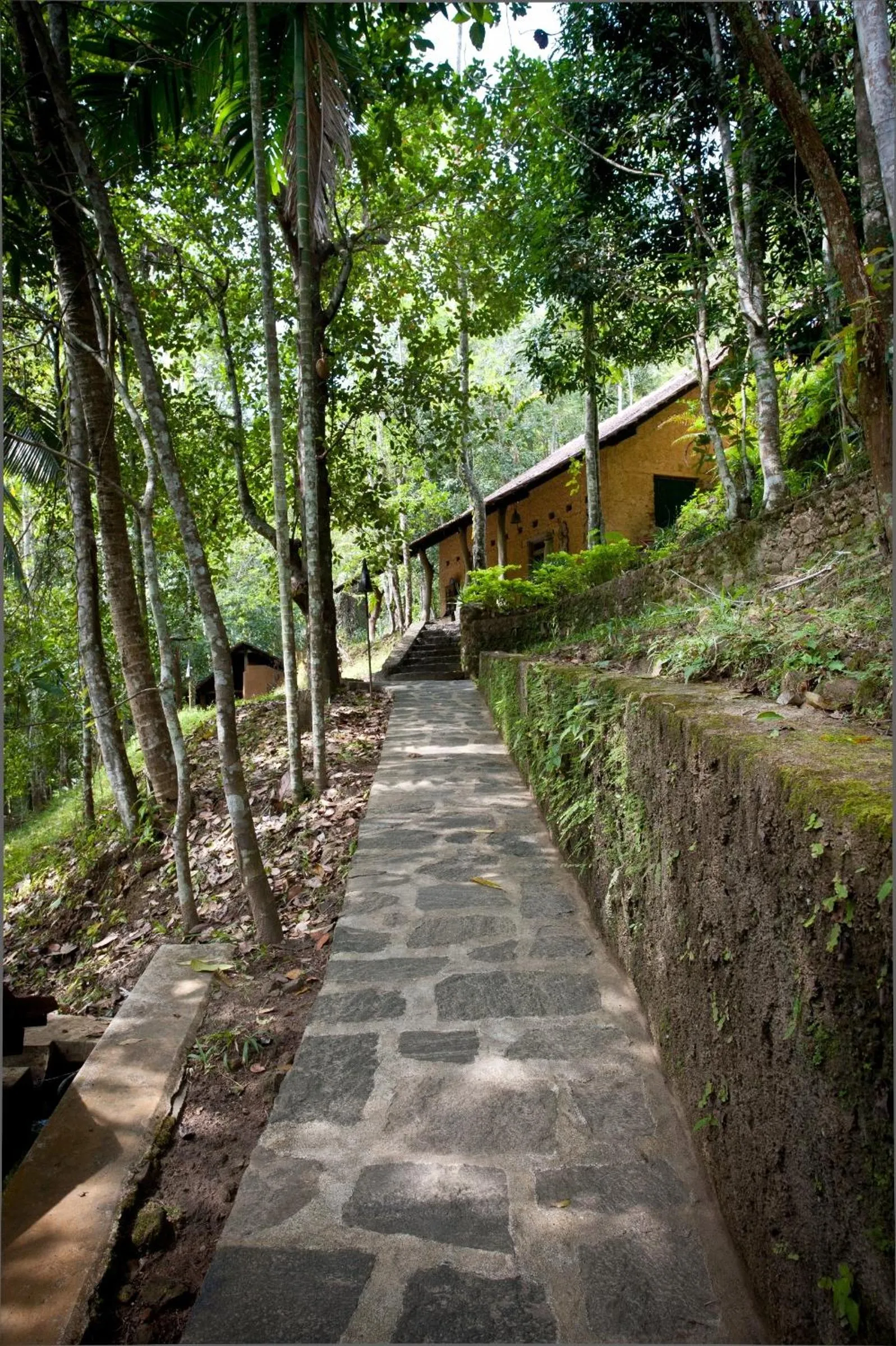 View (from property/room) in The Kandy Samadhicentre