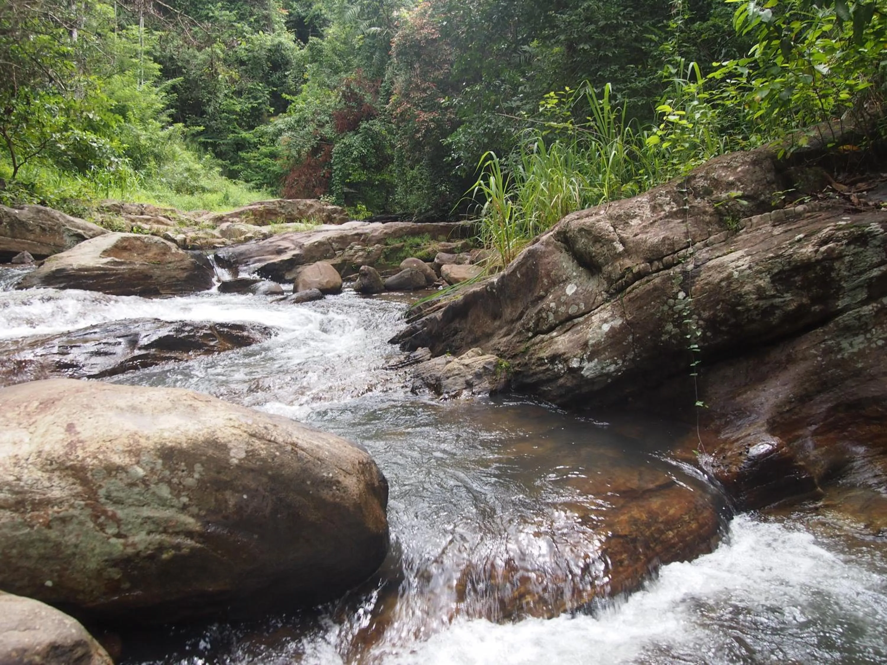 Aqua park in The Kandy Samadhicentre