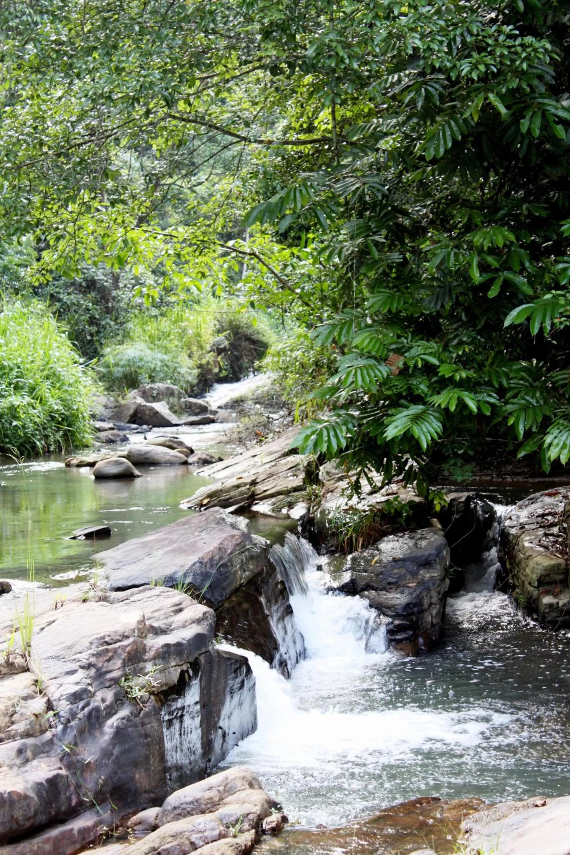 River view in The Kandy Samadhicentre
