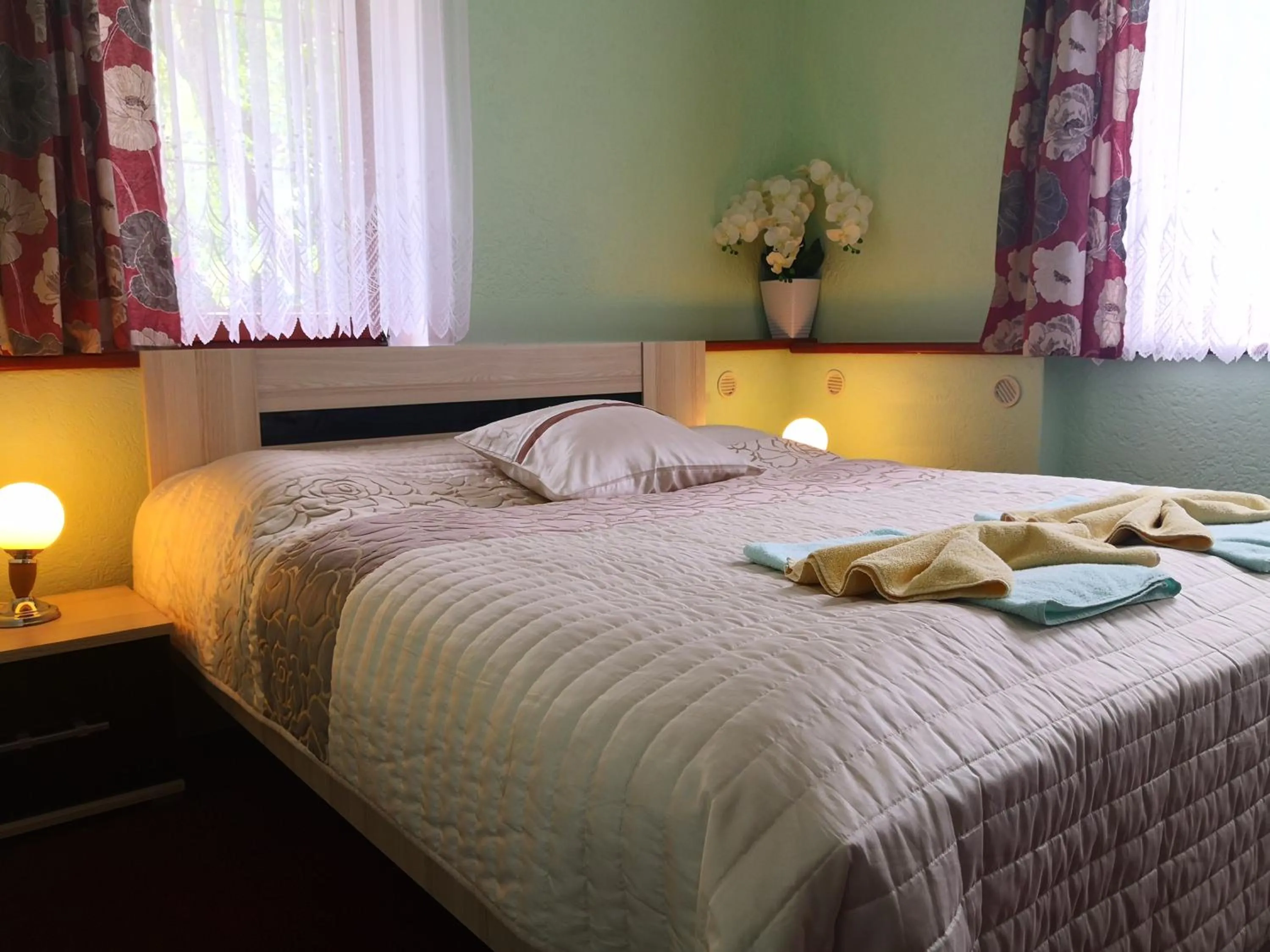 Double Room in Pension Erika
