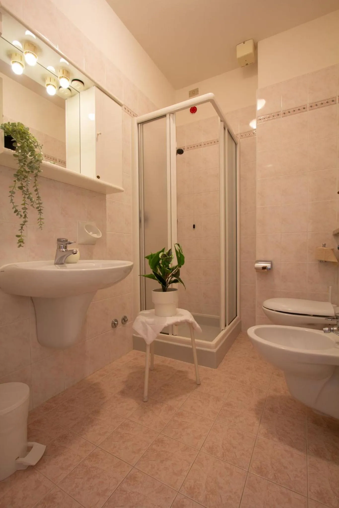 Hotel Benacus Torri del Benaco