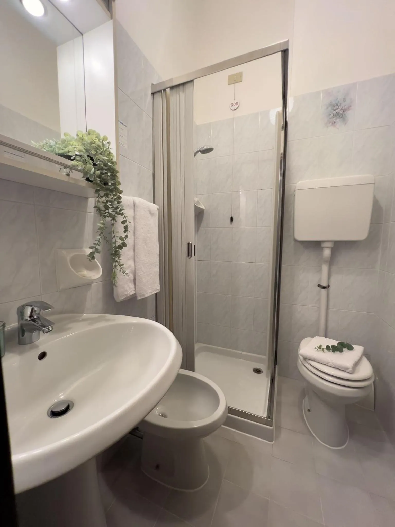 Hotel Benacus Torri del Benaco