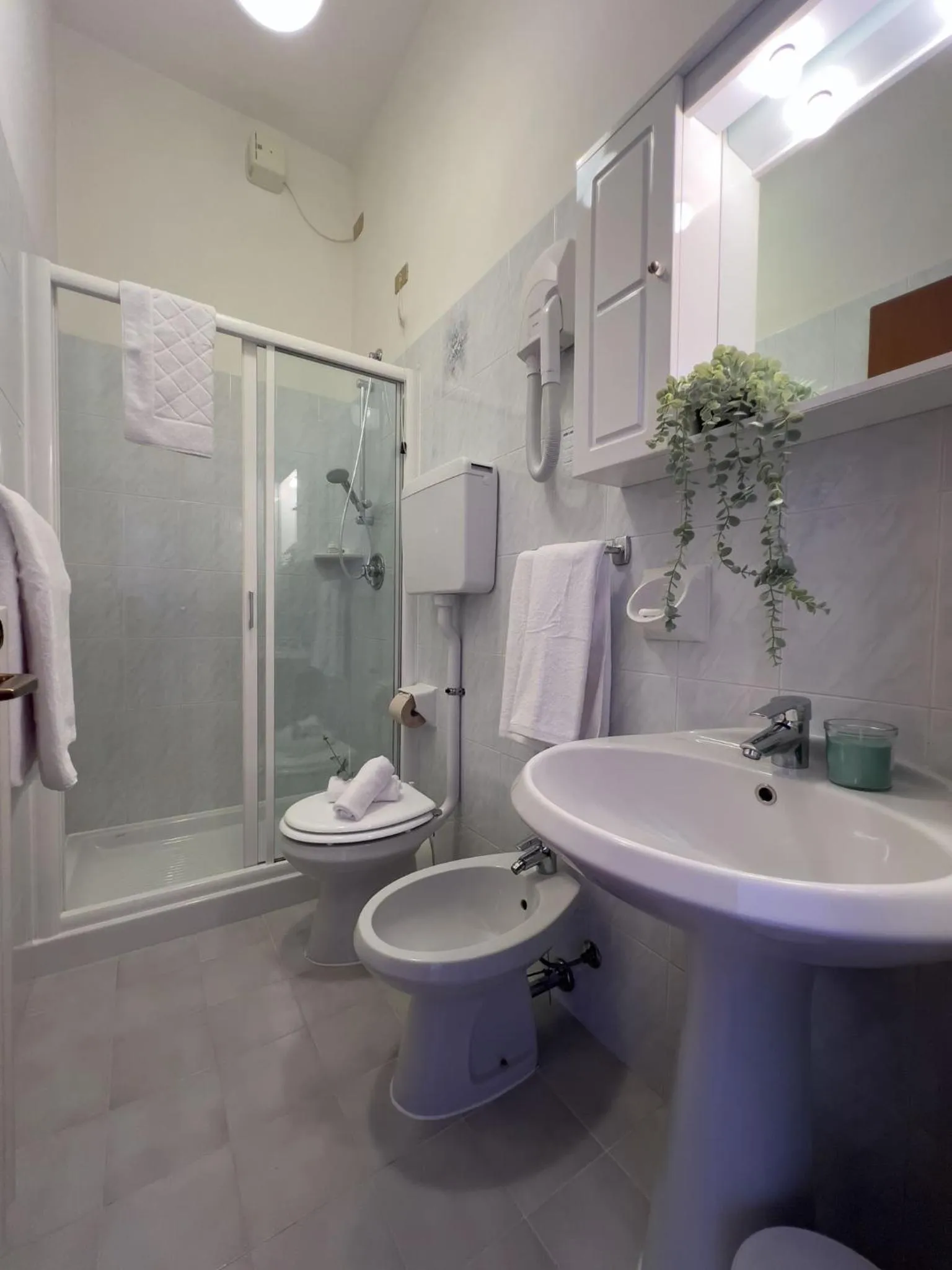 Hotel Benacus Torri del Benaco