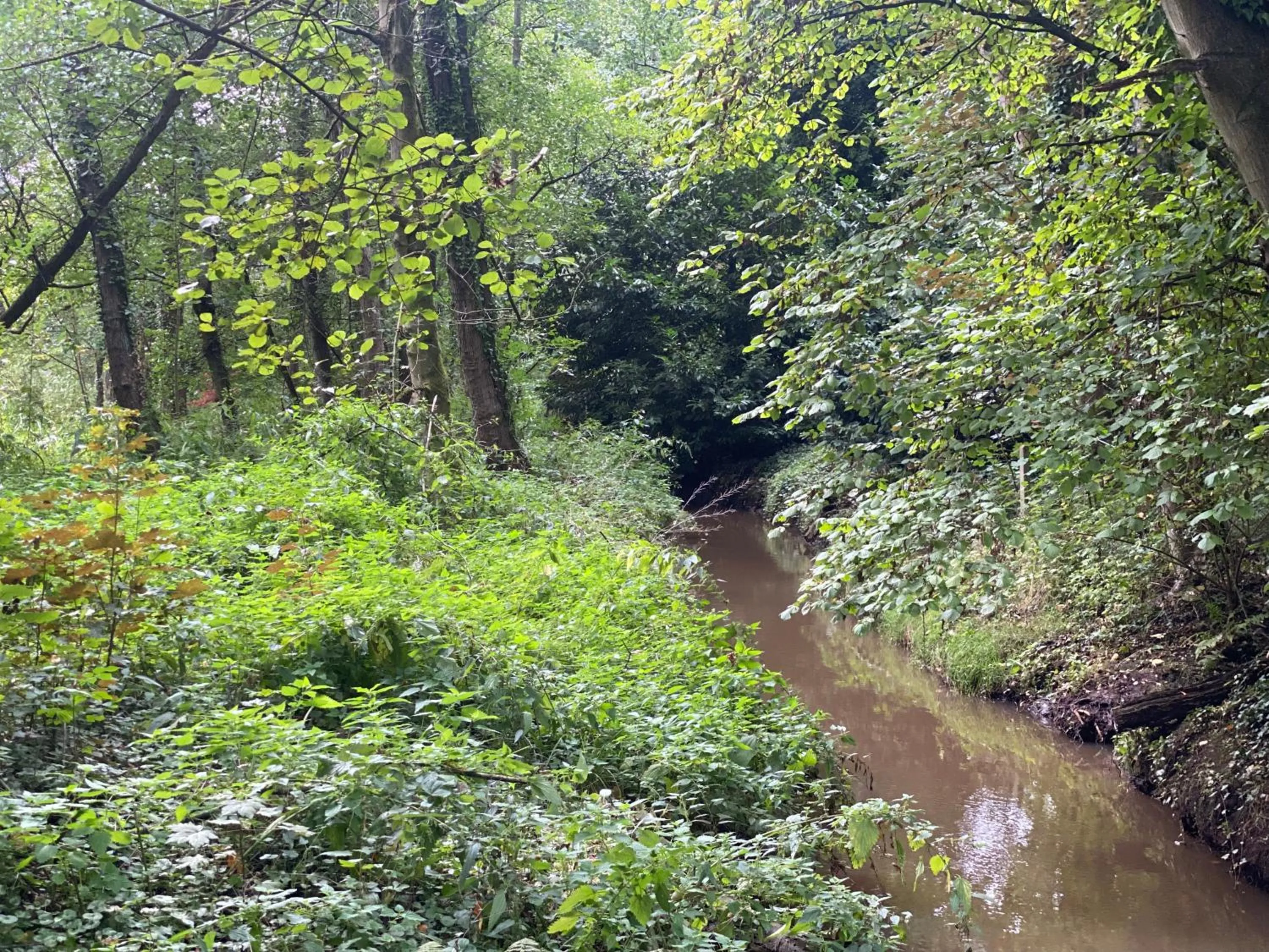Landgoed De Hoogmolen