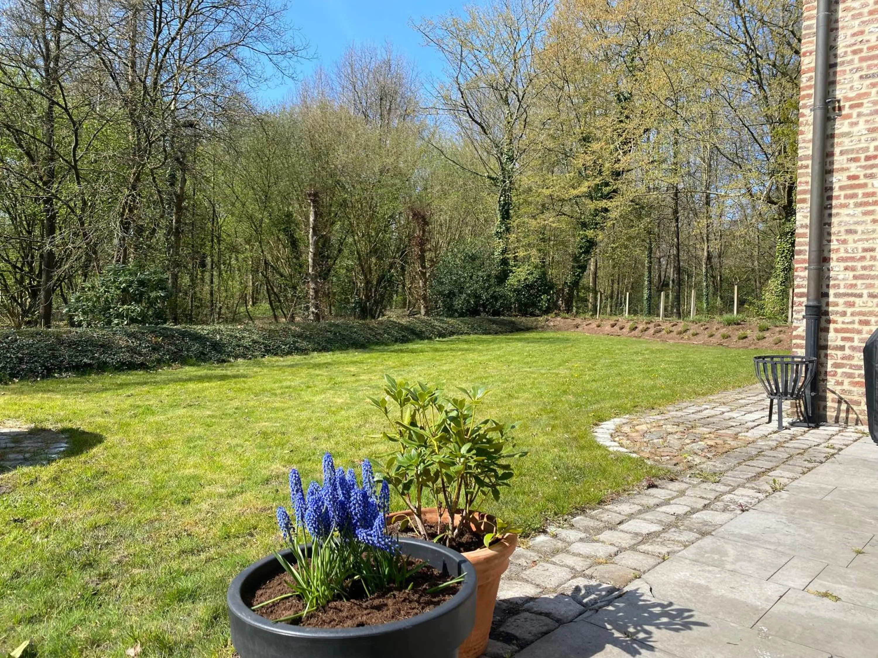 Garden in Landgoed De Hoogmolen