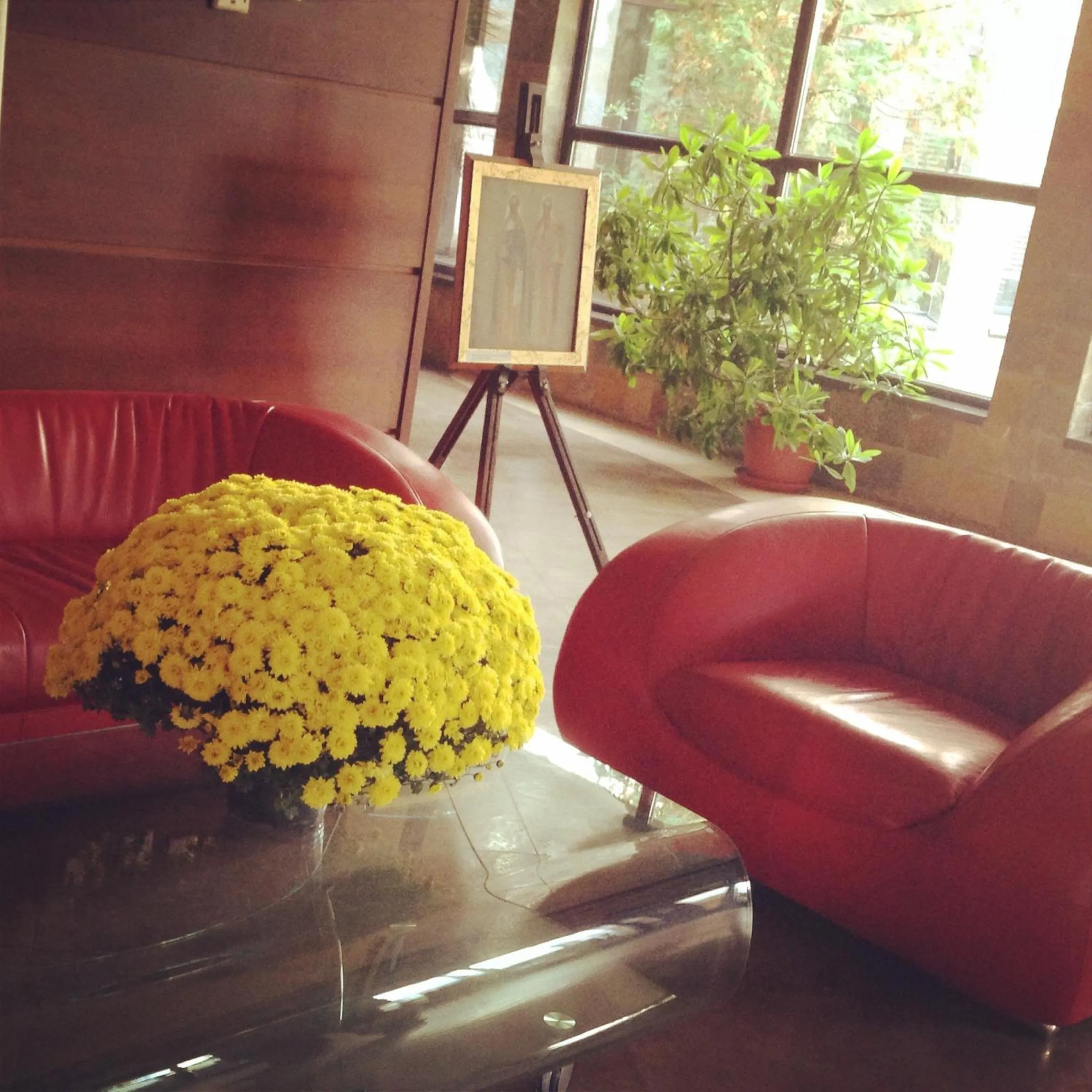 Seating area in Park Hotel Green Europe