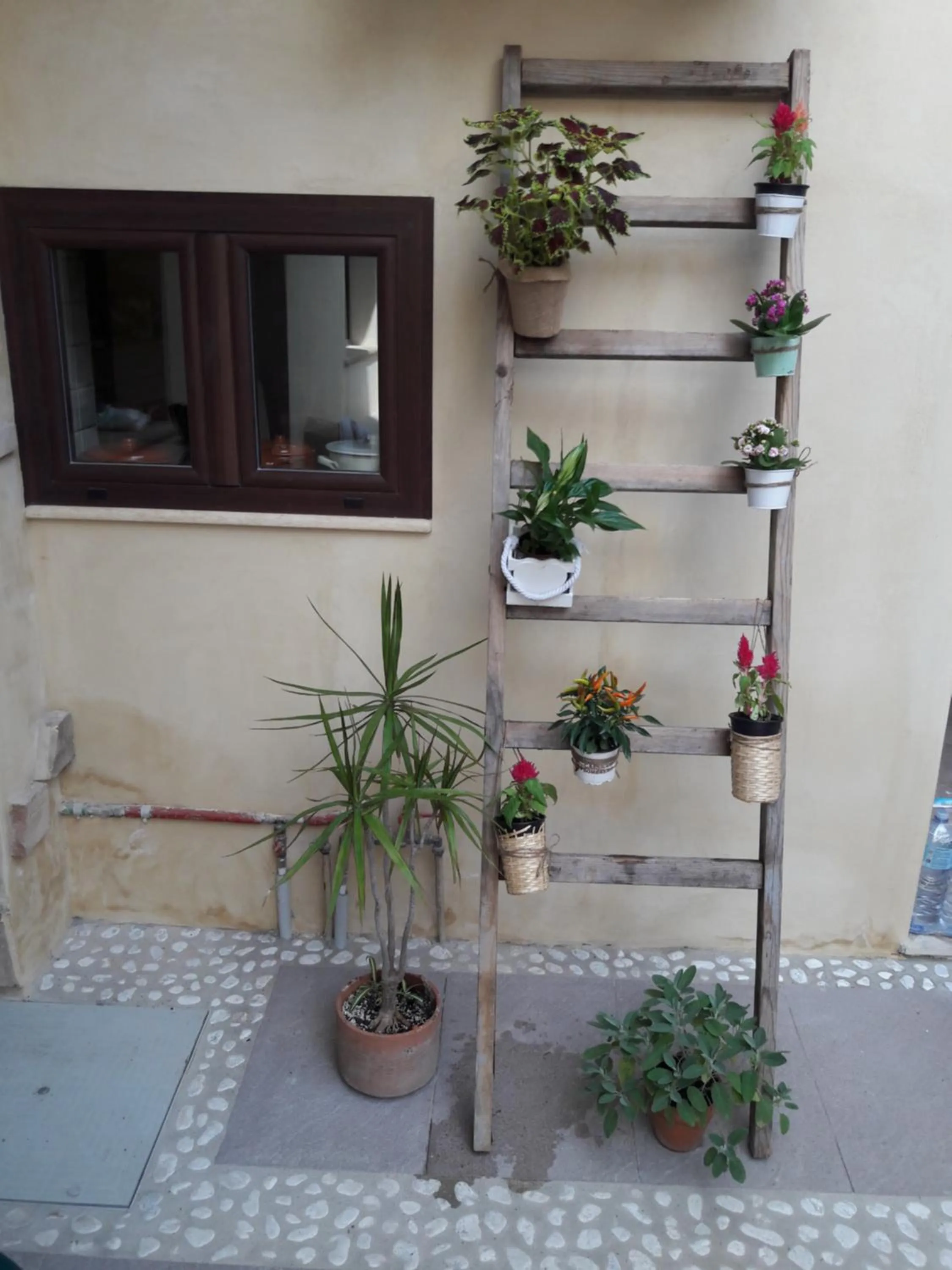 Garden in B&B Stentadì