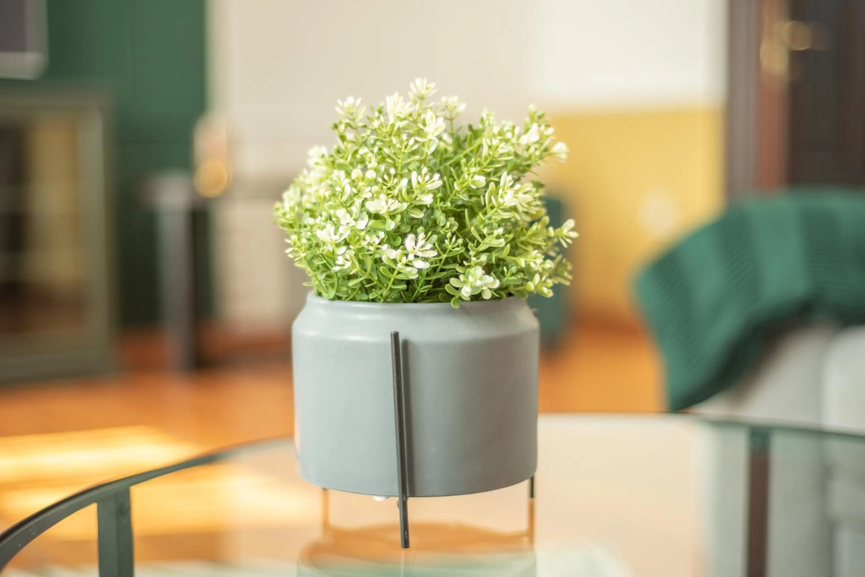 Decorative detail in Kotor Nest