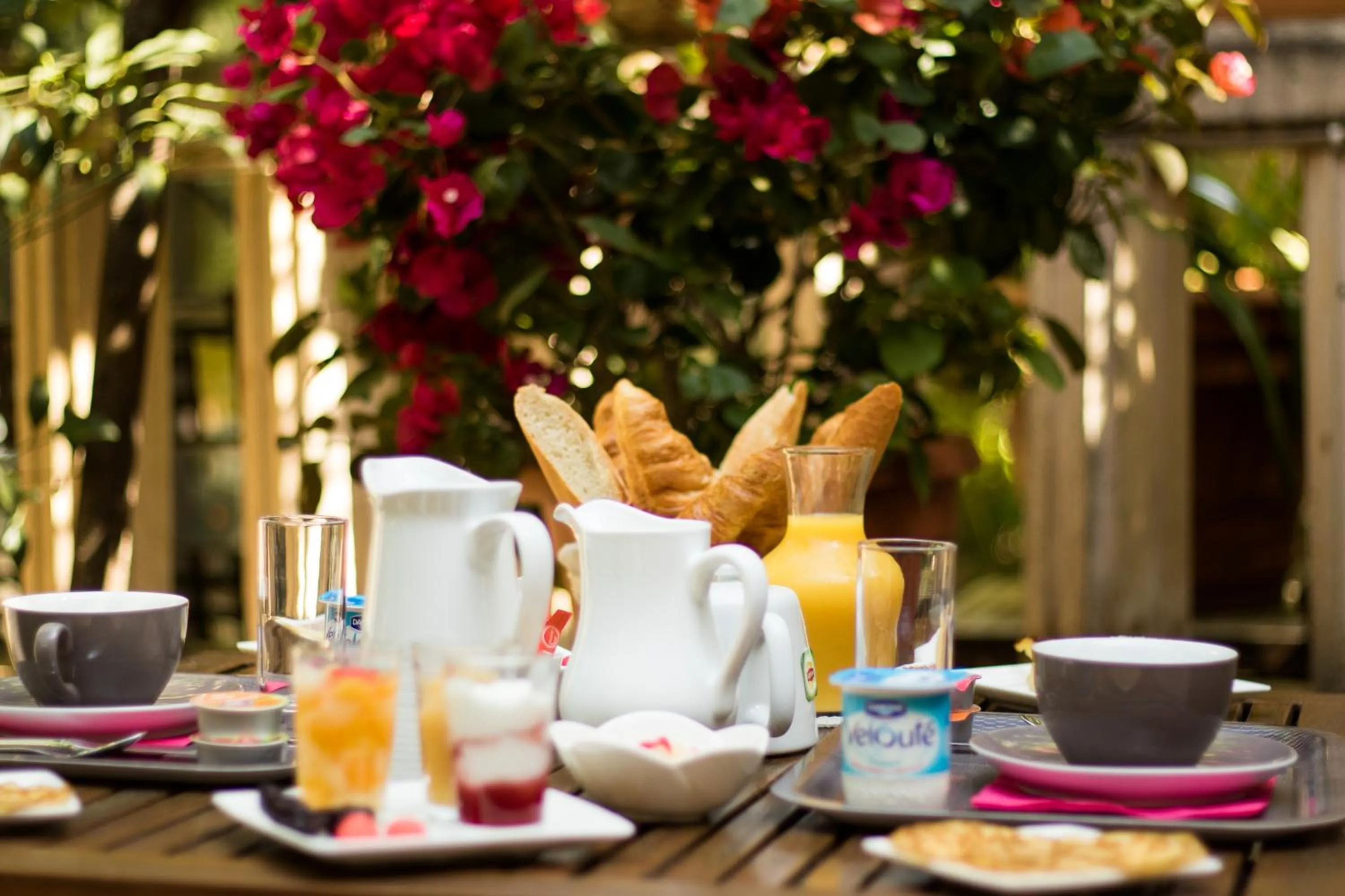 Garden in Hôtel le Chardon Bleu