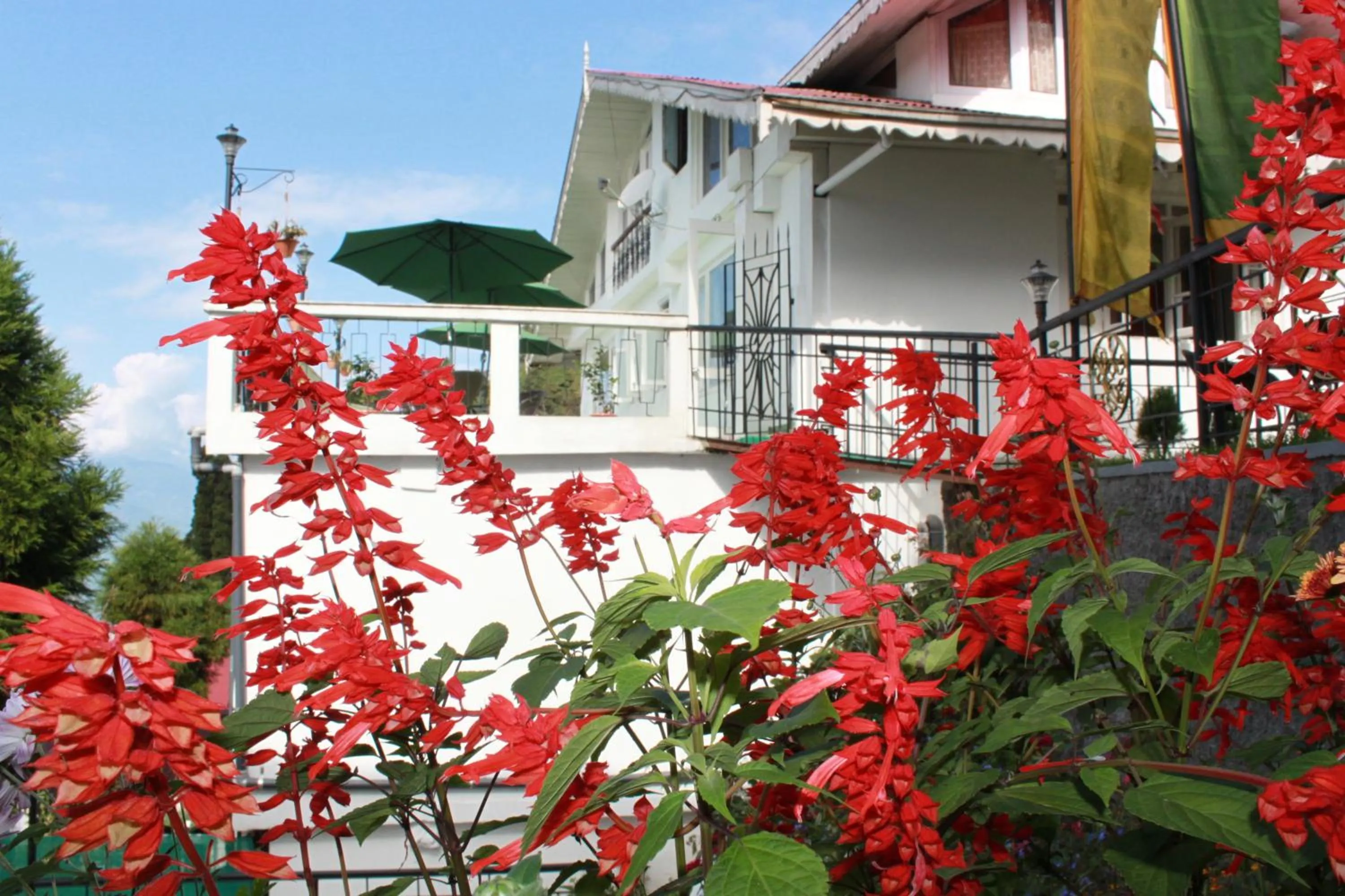 Facade/entrance in Little Tibet Resort Mall Road