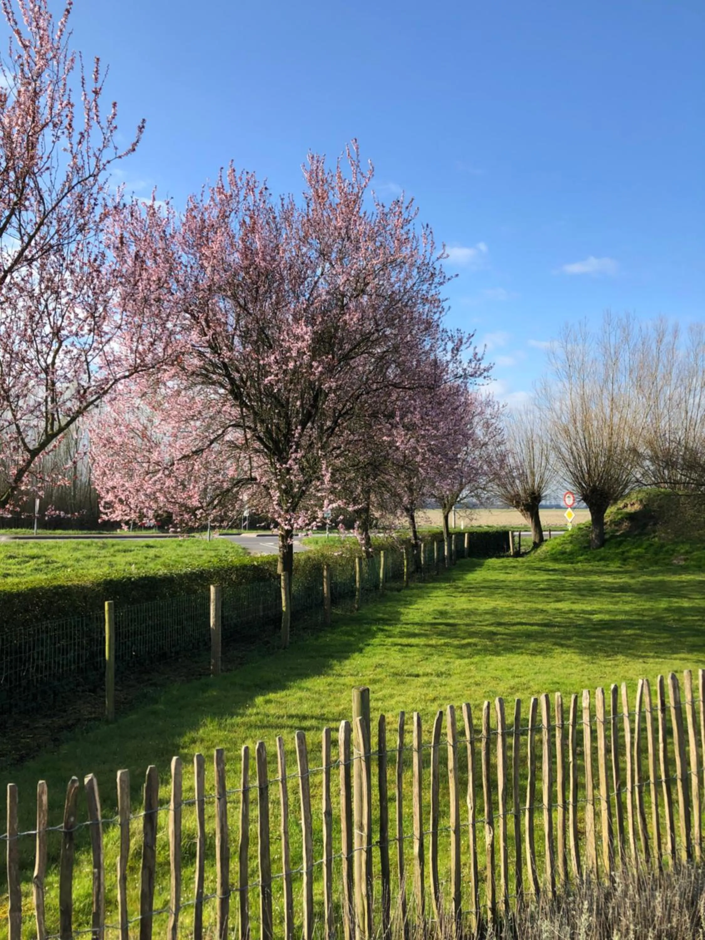 Garden in B&B de Tol
