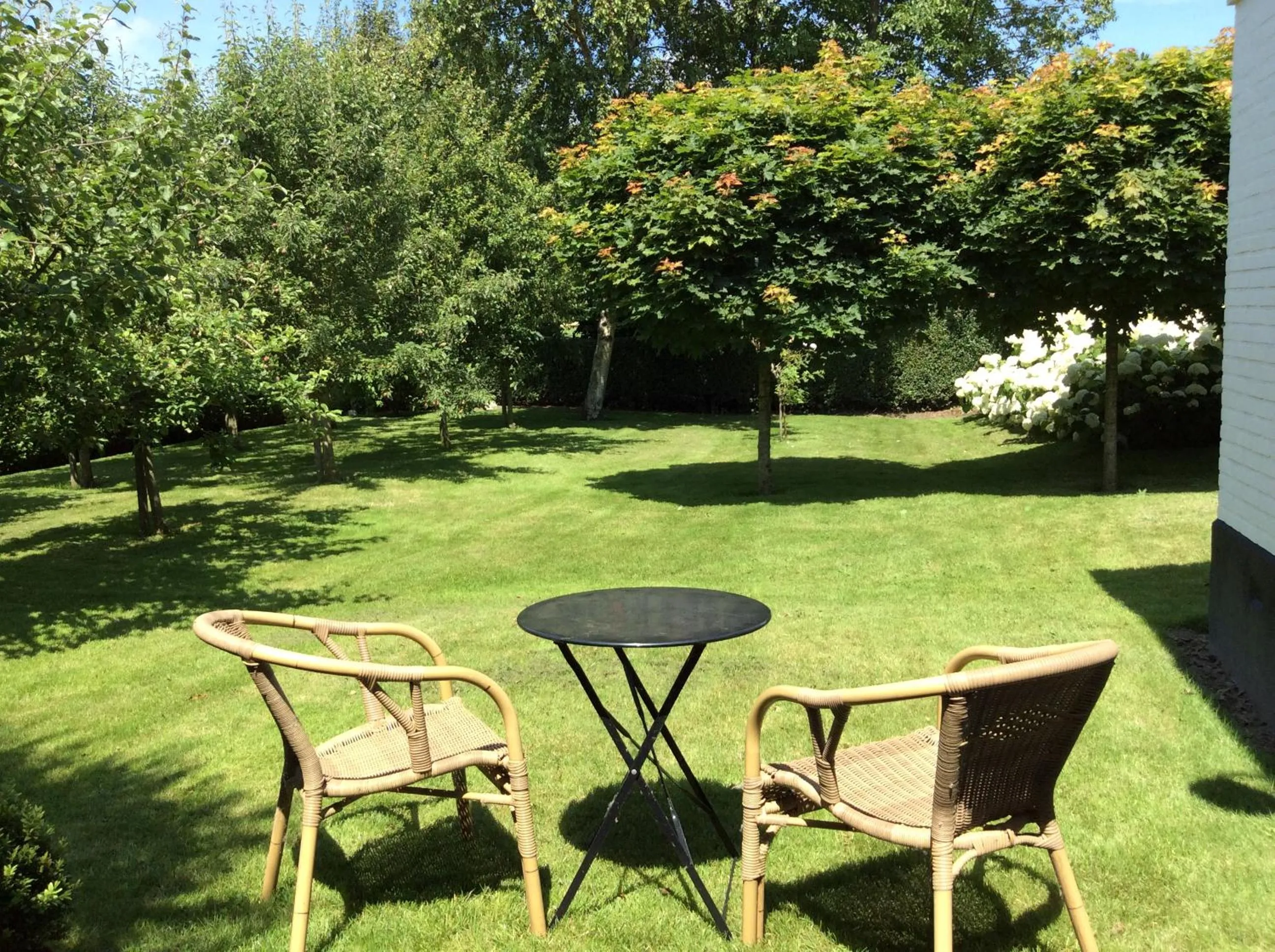 Garden in B&B de Tol