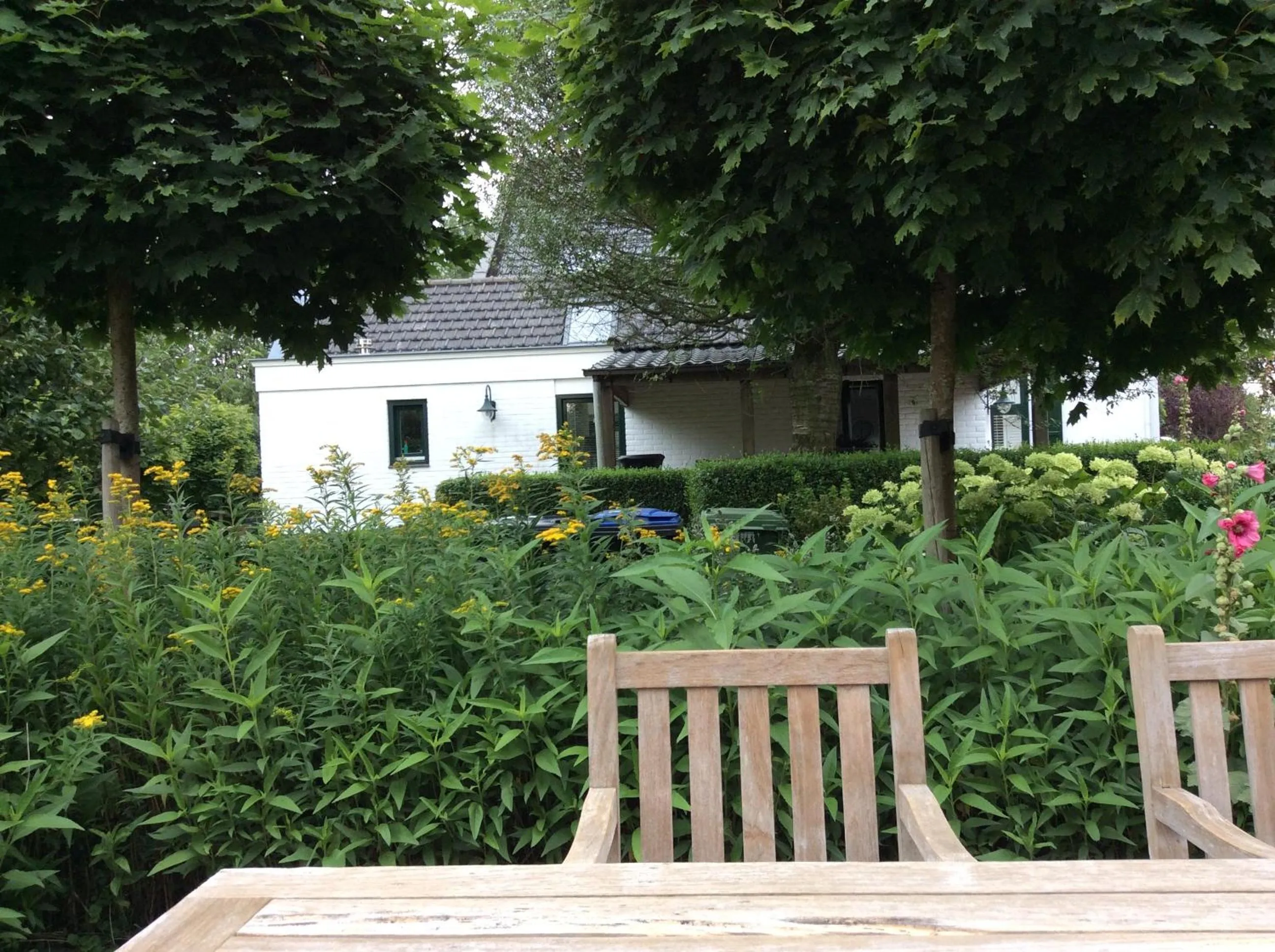 Garden in B&B de Tol