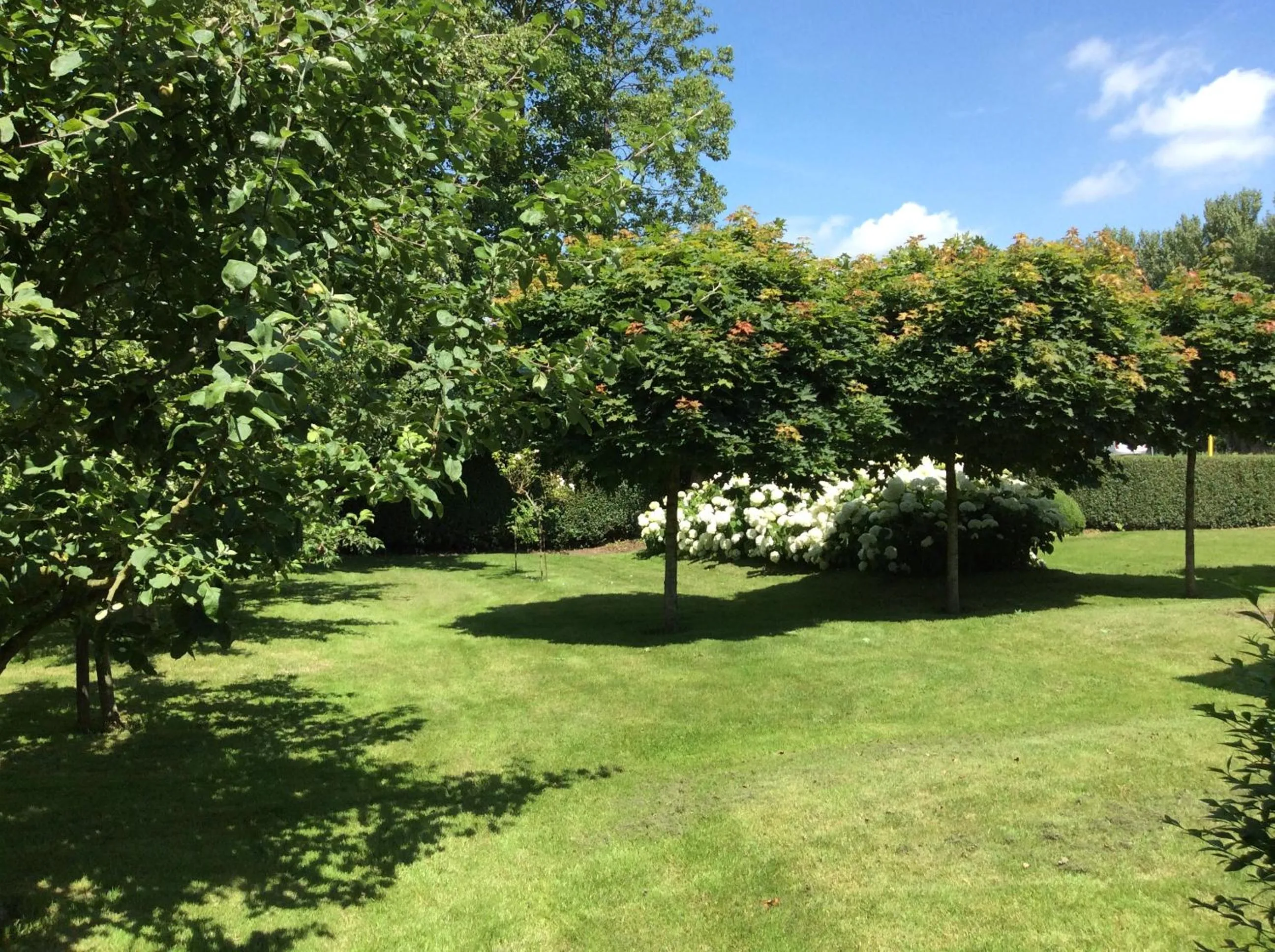 Garden in B&B de Tol