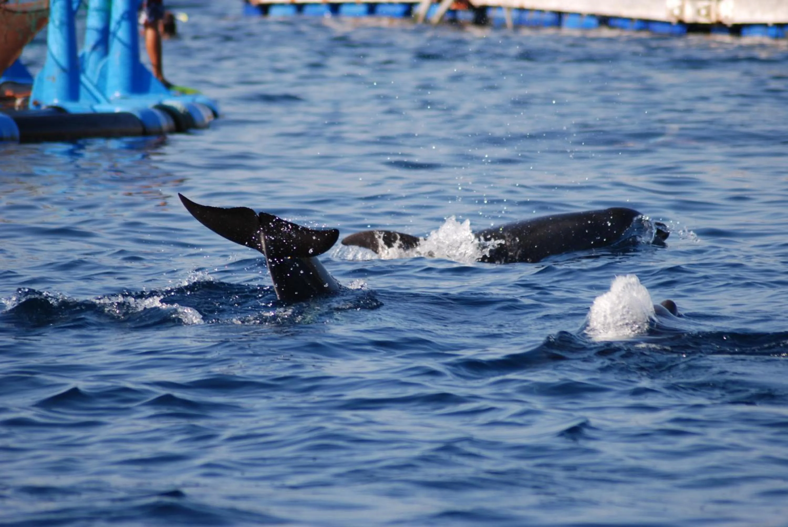 Property building in HOTEL CAMPOMORO