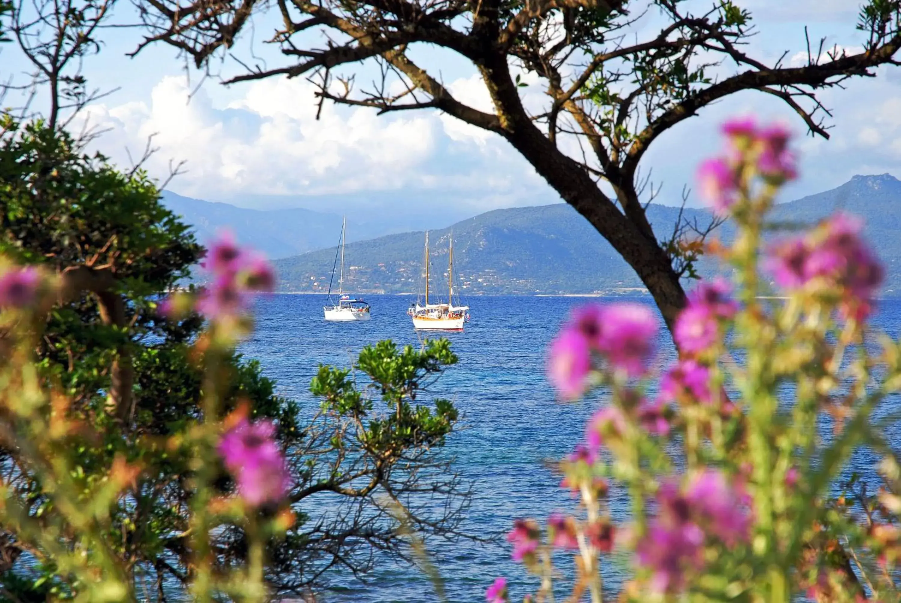 Double Room with Terrace in HOTEL CAMPOMORO Double Room with Terrace in HOTEL CAMPOMORO