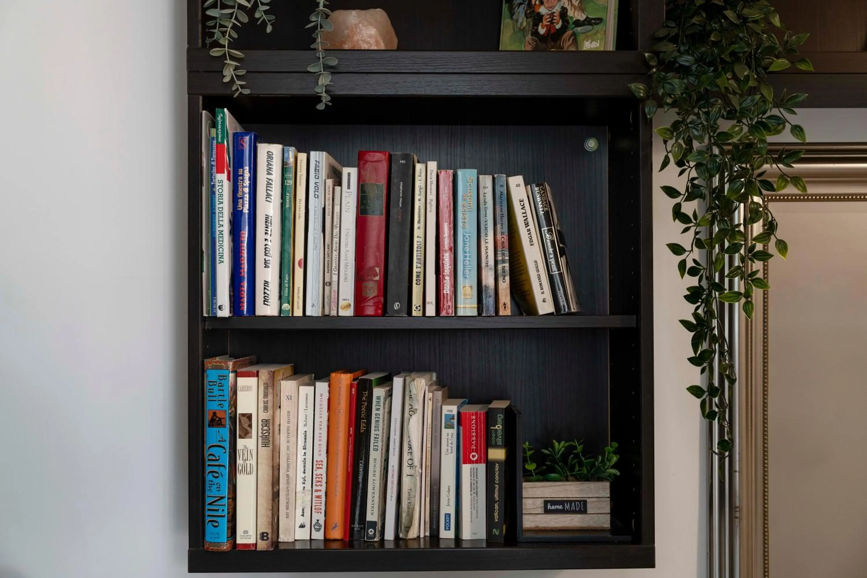 Library in St. Peter Central Rooms B&B