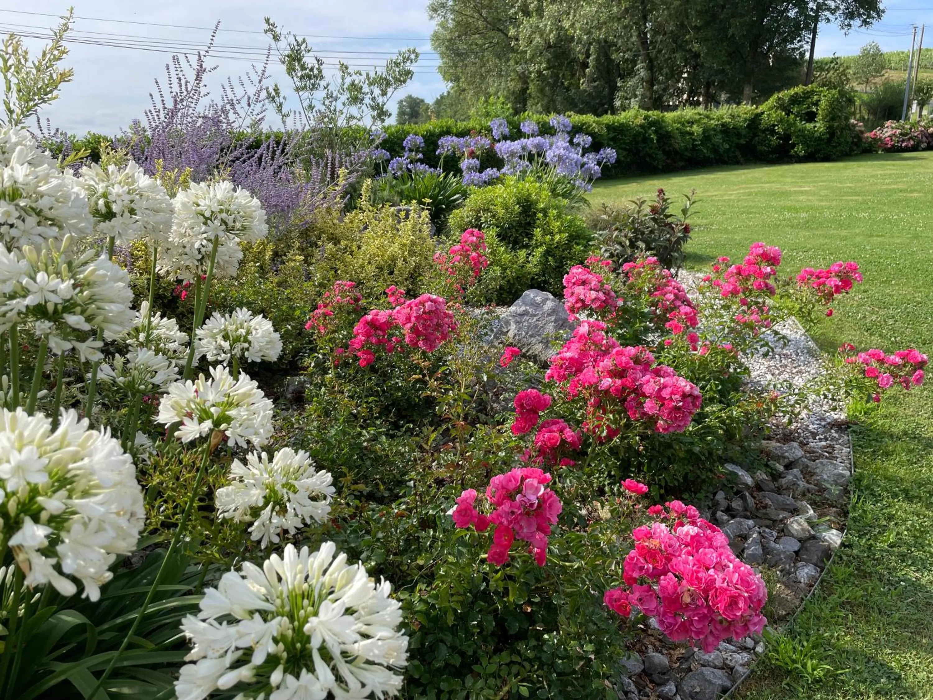 Maison d'Hôtes Canterou